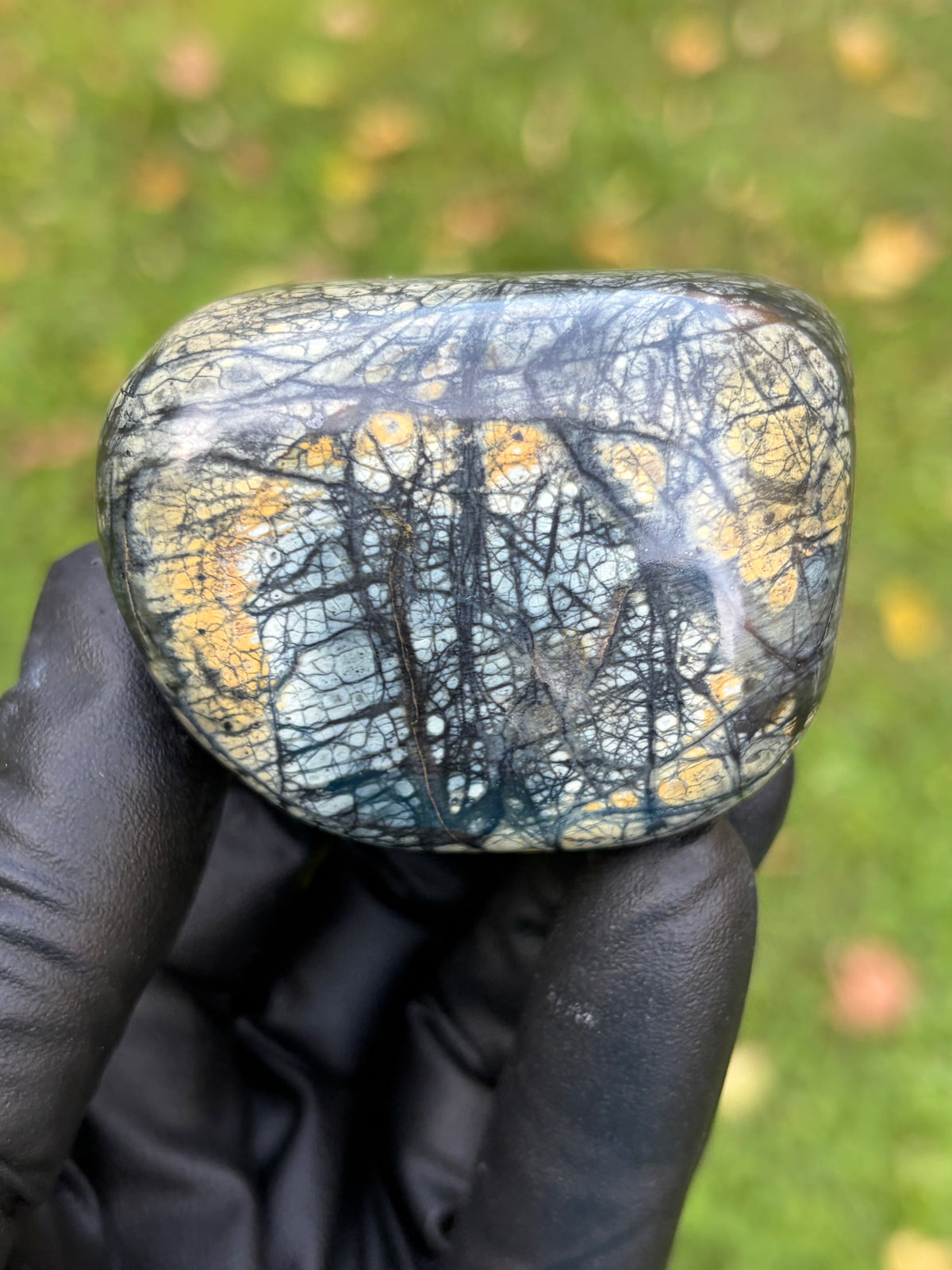 StoneBorn Creations – Vermont Brecciated Greenstone / Serpentine