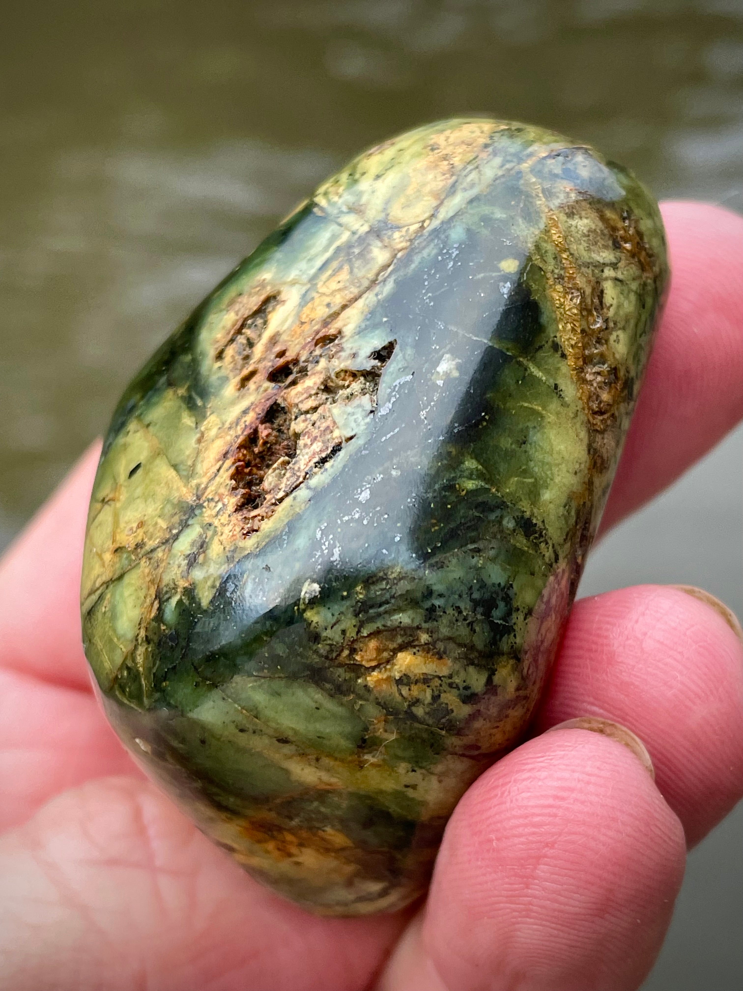 🌲 Polished Vermont Greenstone – Earth-Gold Forest Pattern (Hand-Collected & Polished)
