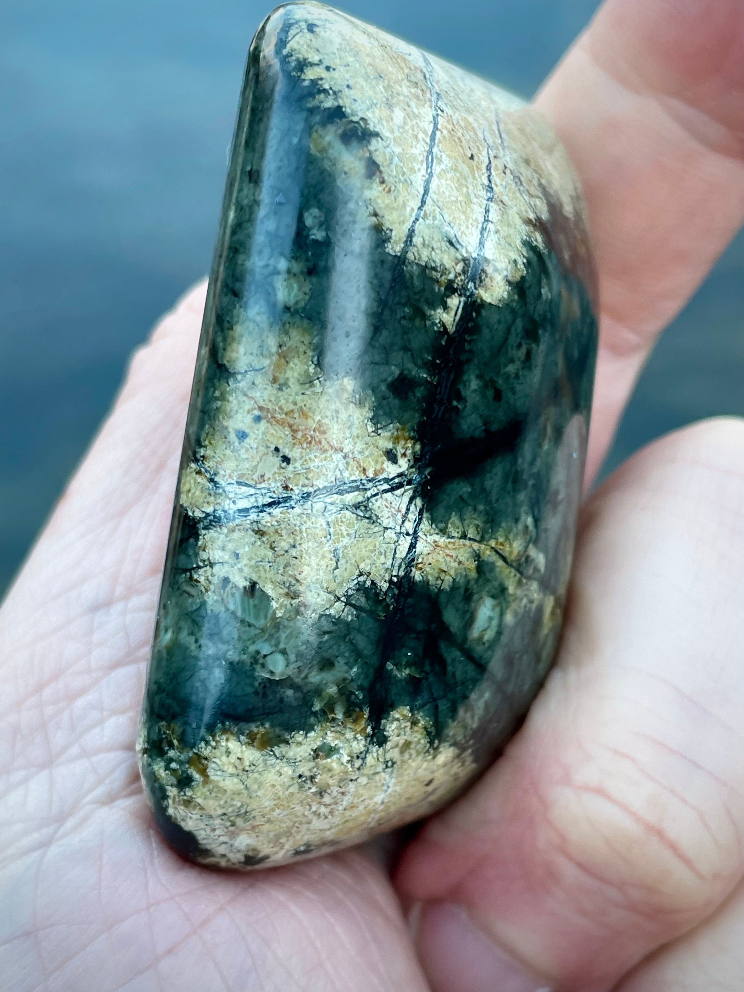 🌲 Polished Vermont Greenstone — Deep Forest Gold Vein (Hand-Collected & Finished)