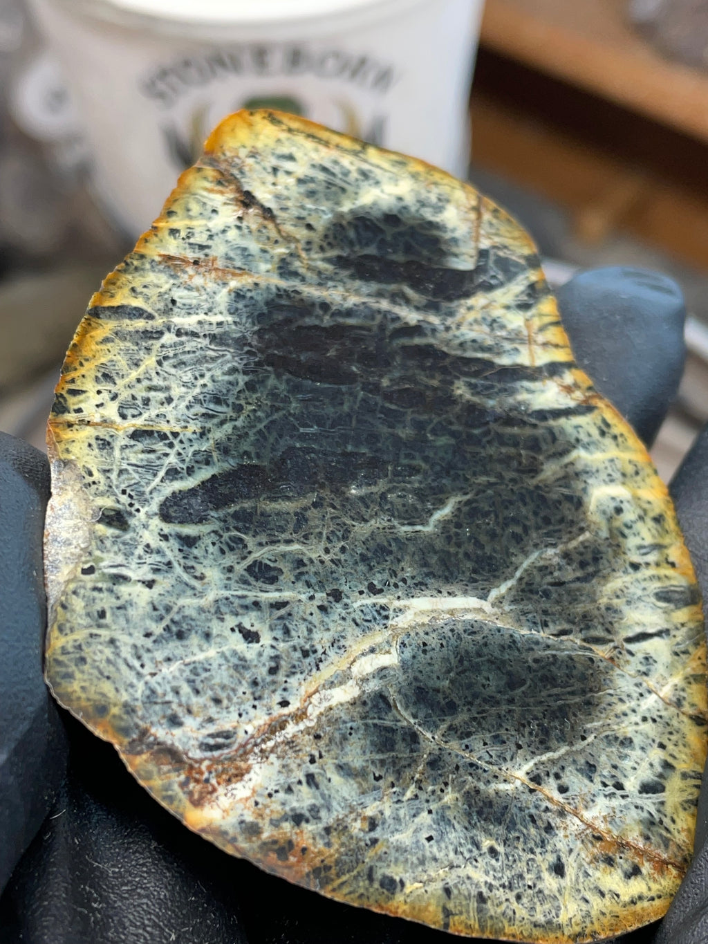 StoneBorn “Midnight Web” Greenstone Slab (One-Side Polished)