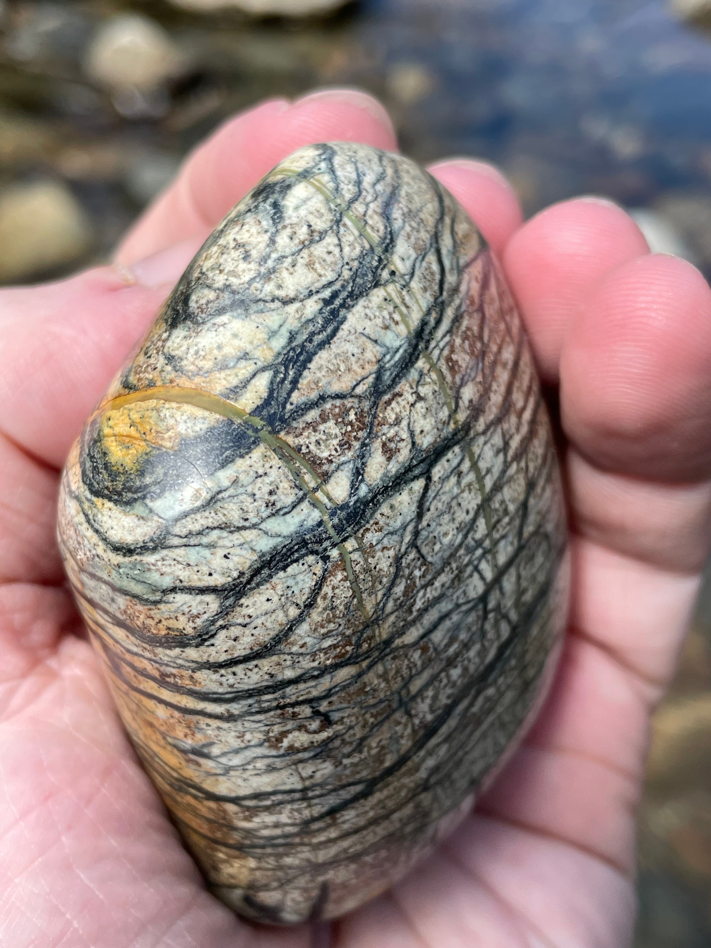 StoneBorn Creations Hand-Polished River Stone Freeform with Natural Black Webbing Patterns and Earthy Veining