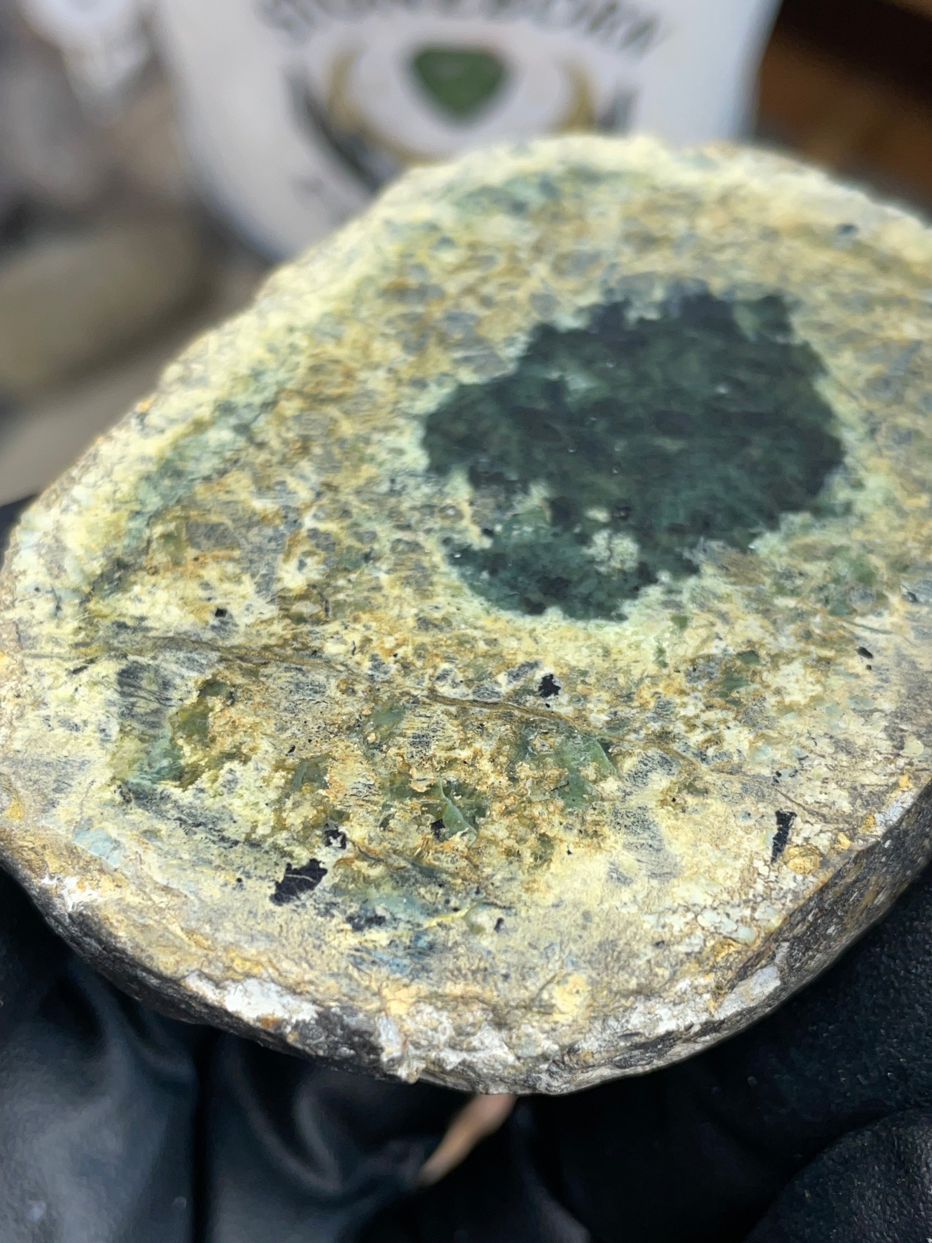 Hand-Collected Serpentine with Natural Jade Core | Raw & Polished StoneBorn Specimen