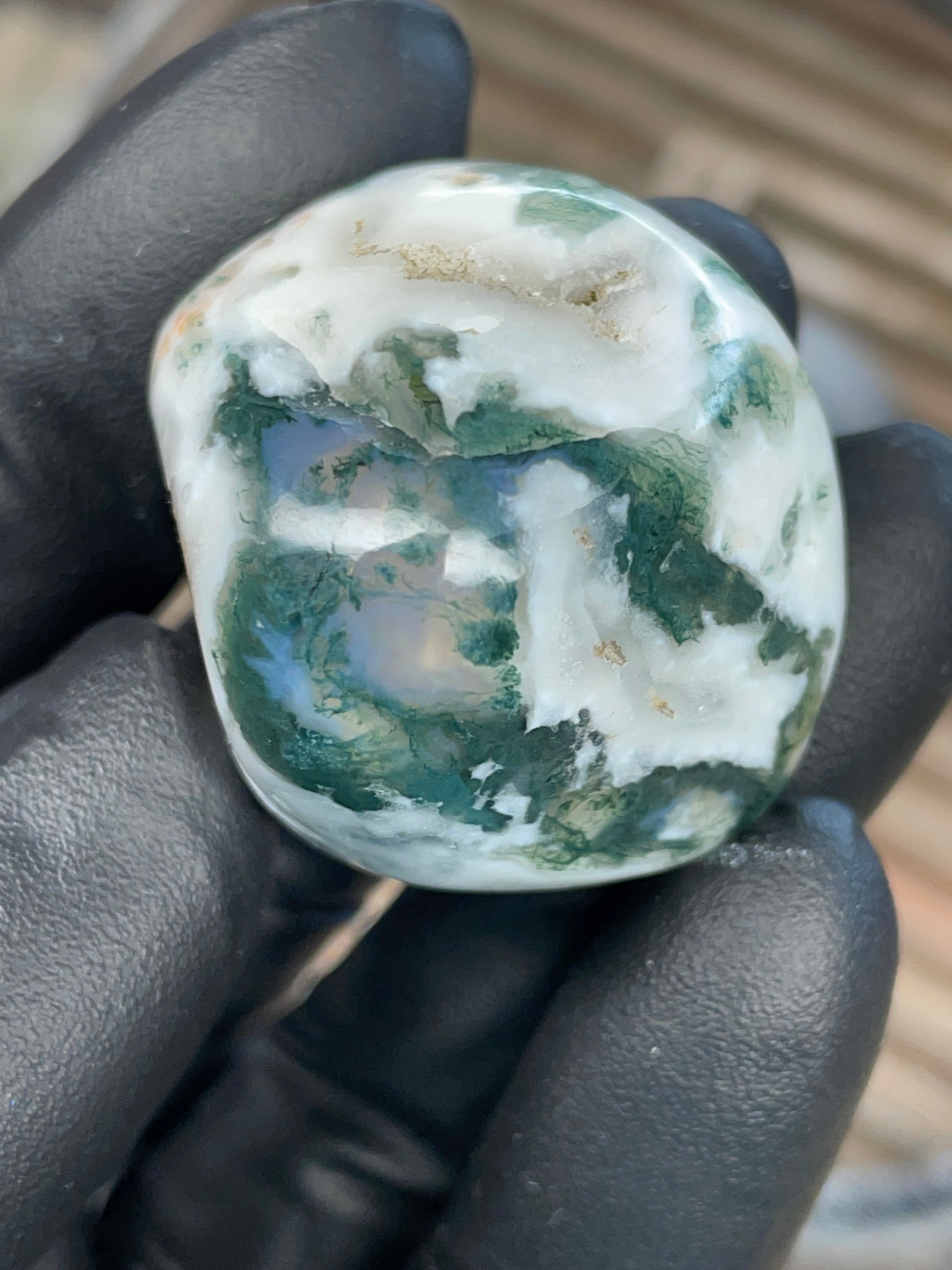 Tree Agate — Hand Polished Stone