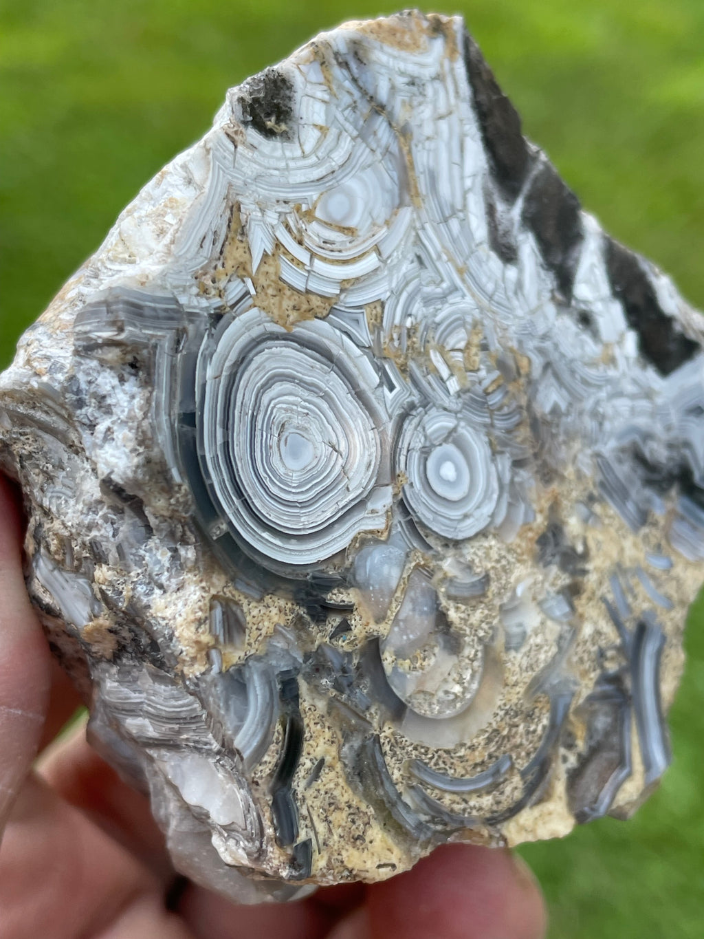 StoneBorn Creations Hand-Polished Tuxedo Lace Agate Bookmatched Pair | One-of-a-Kind Natural Display Stones