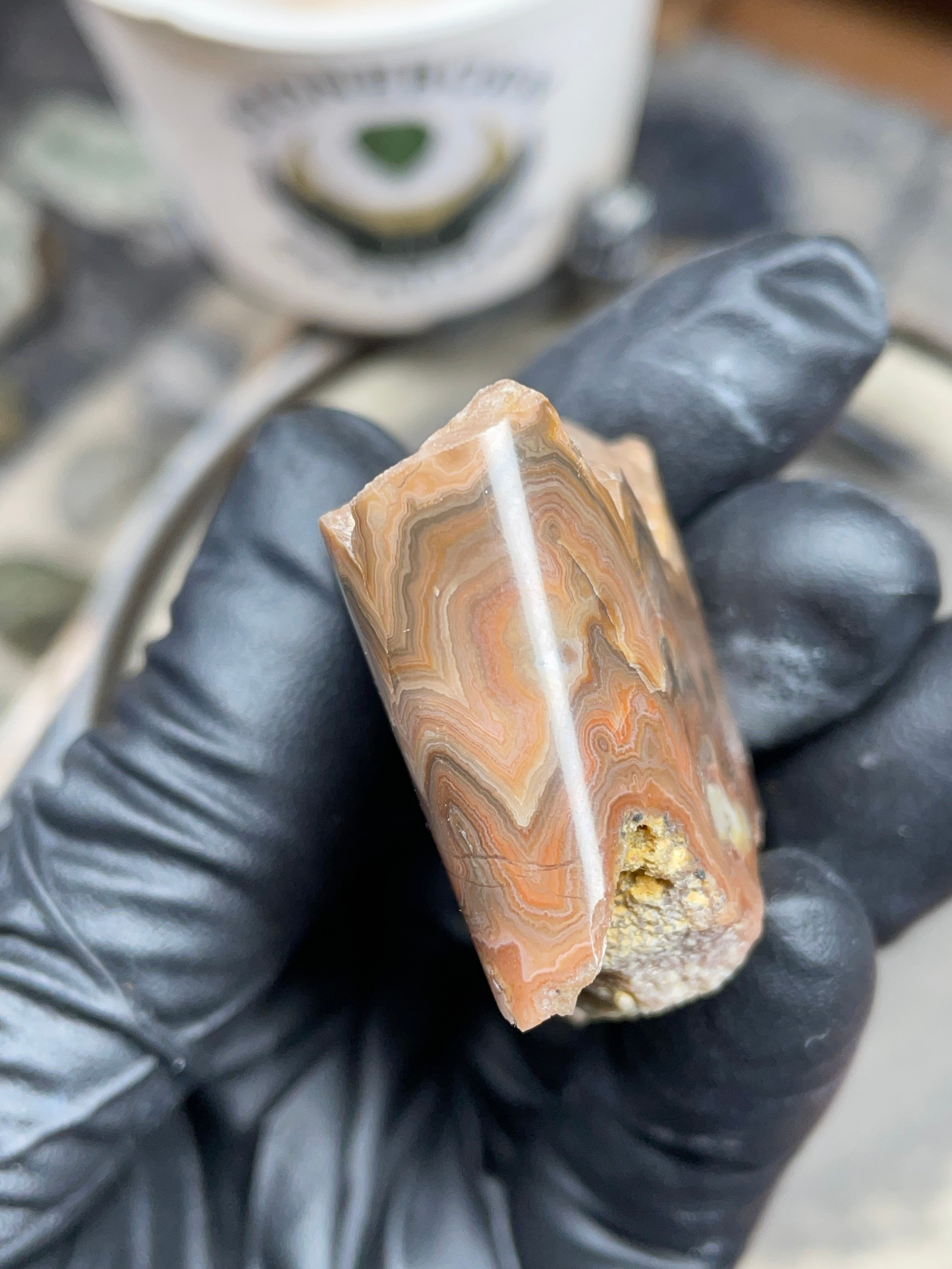 StoneBorn Creations Hand-Polished Georgia Crazy Lace Agate with Natural Quartz Vein & Raw Matrix