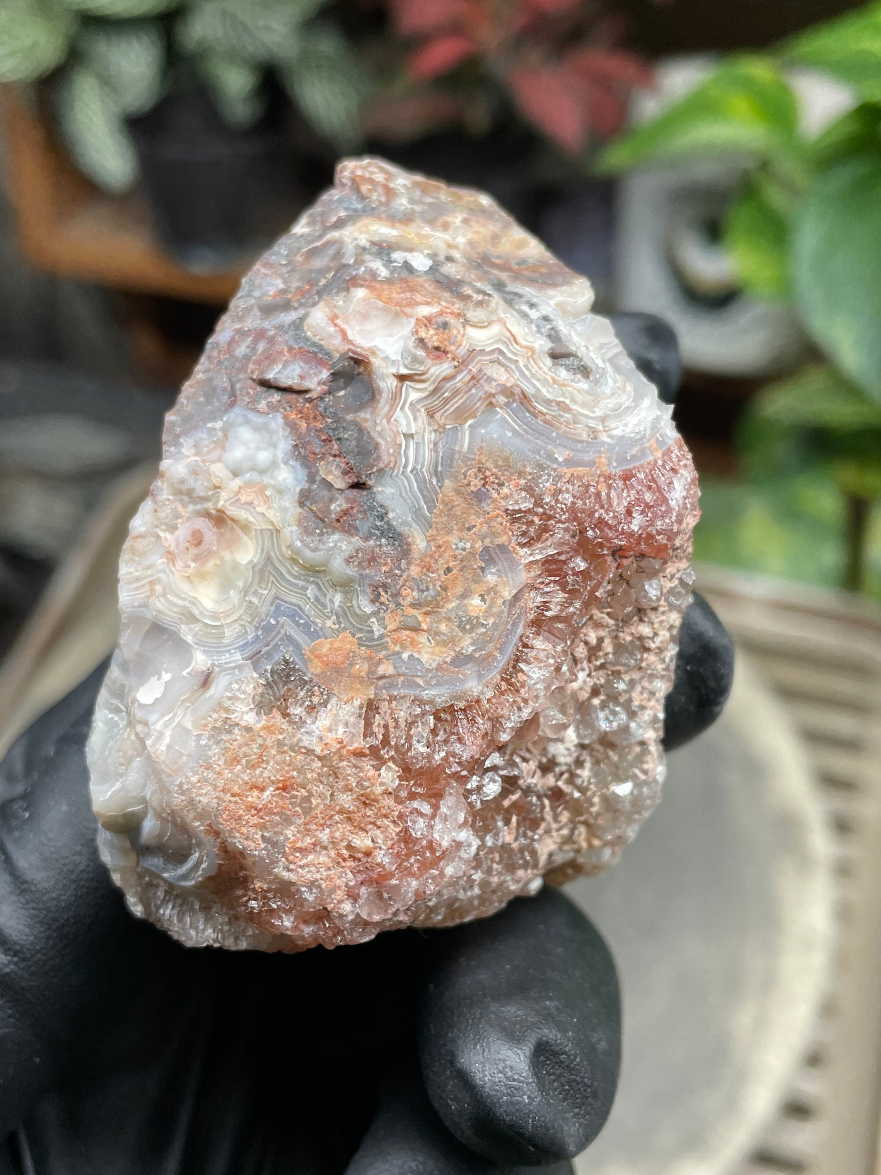 StoneBorn Creations Hand-Polished Lace Agate Freeform with Curved Polished Face, Intricate Fortification Banding & Natural Druzy Crystal Backing