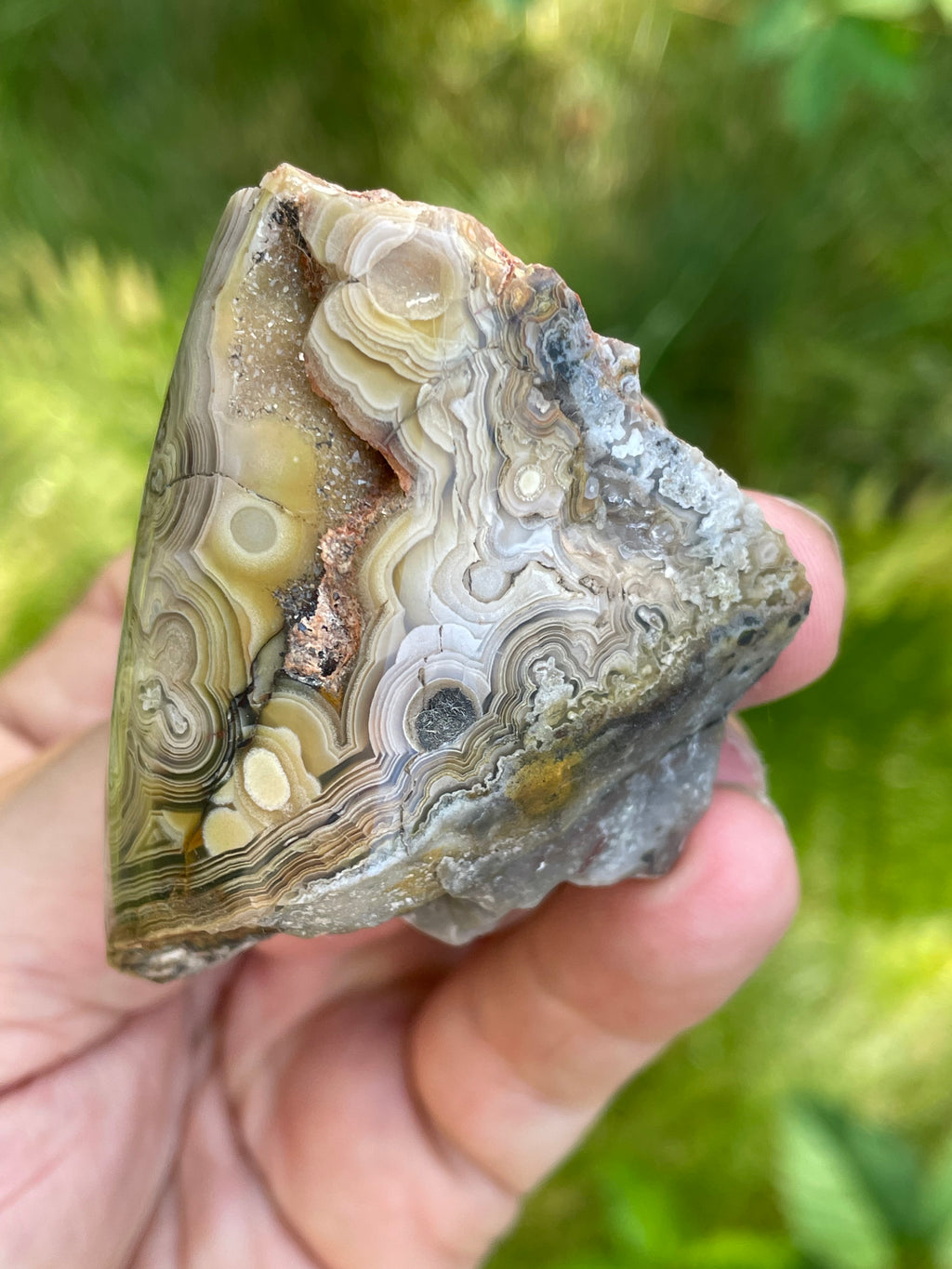 StoneBorn Creations Hand-Polished Lace Agate Freeform with Intricate Fortification Banding, Orbicular Eyes & Natural Druzy Quartz Pocket
