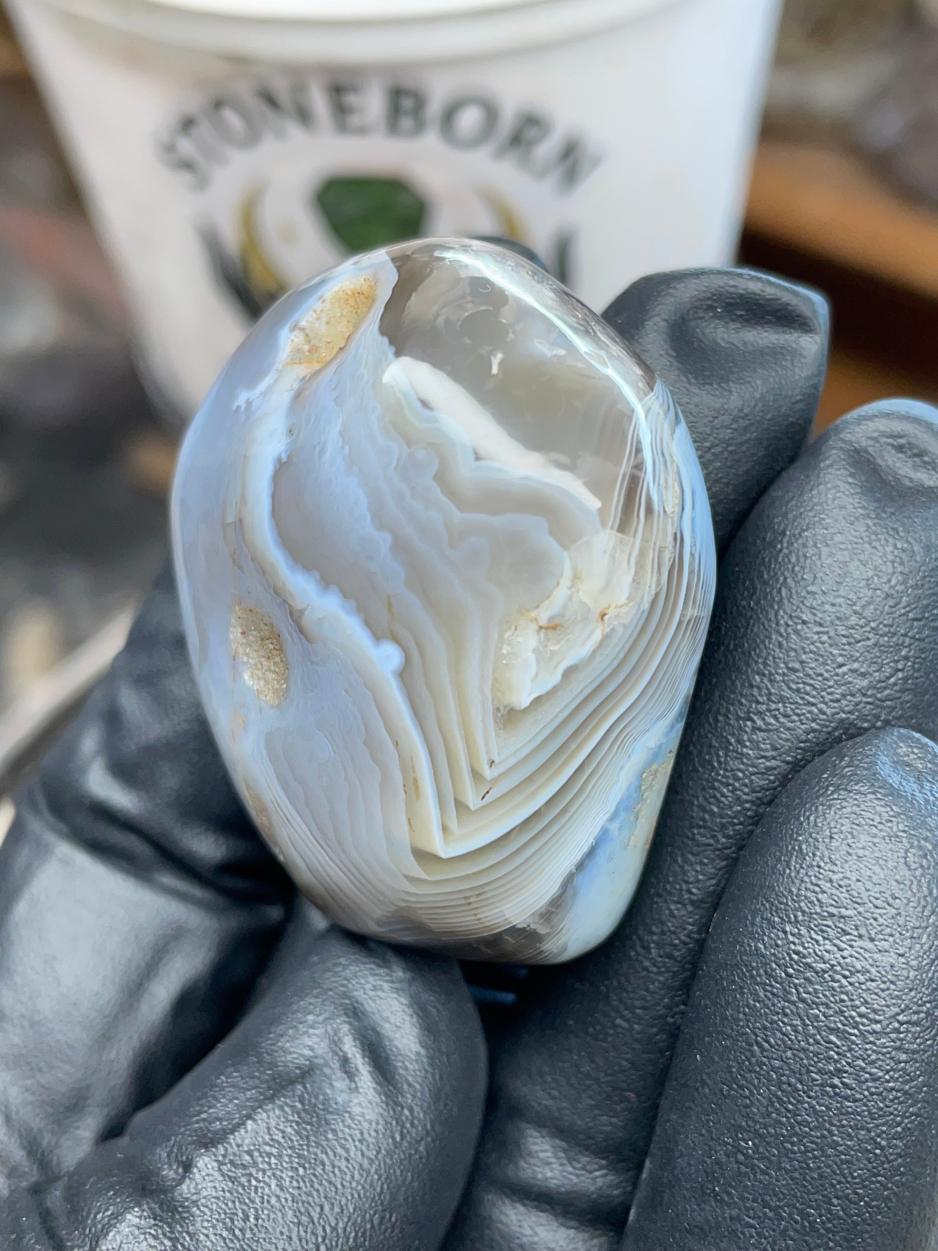 Hand-Polished Botswana Agate | StoneBorn Creations