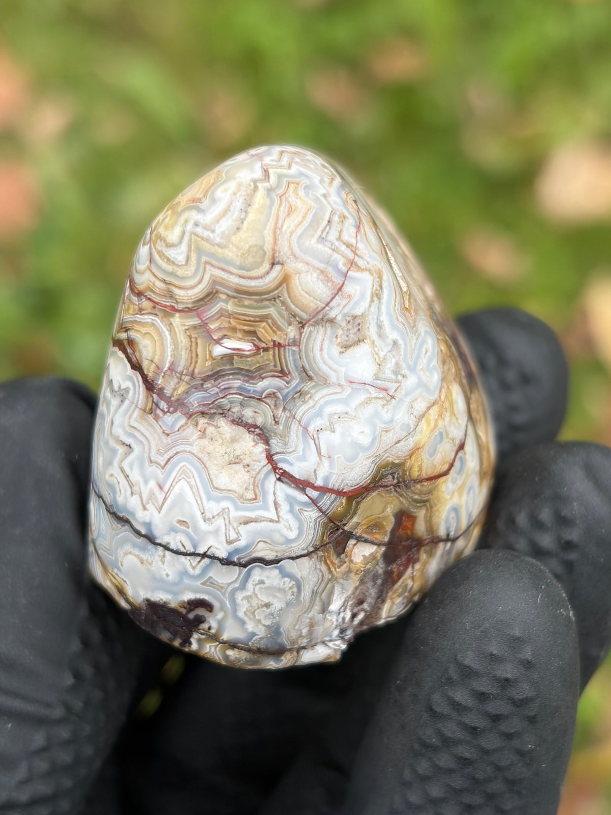StoneBorn Creations – Crazy Lace Agate | Intricate Blue, Cream & Golden Banding | Hand-Polished Natural Stone