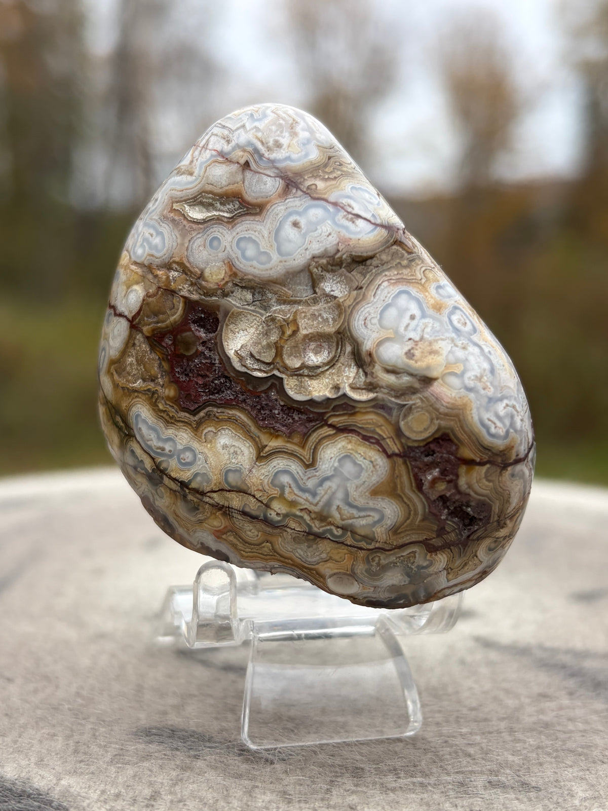 StoneBorn Creations – Crazy Lace Agate | Intricate Blue, Cream & Golden Banding | Hand-Polished Natural Stone