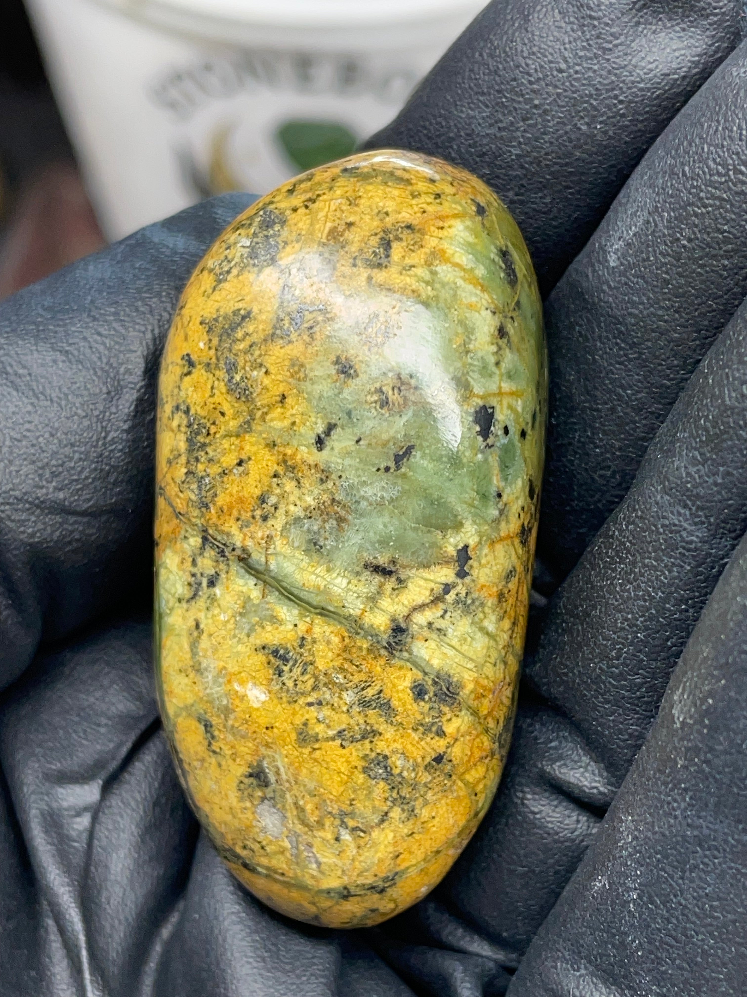 Hand Polished River-Found Serpentine Stone | Green & Gold Freeform | StoneBorn Creations
