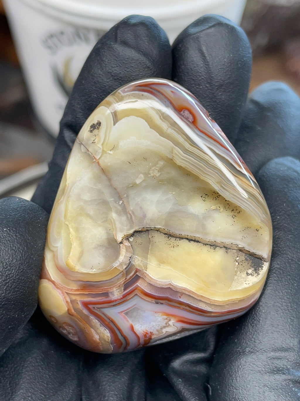 StoneBorn Banded Agate with Natural Druzy Pocket