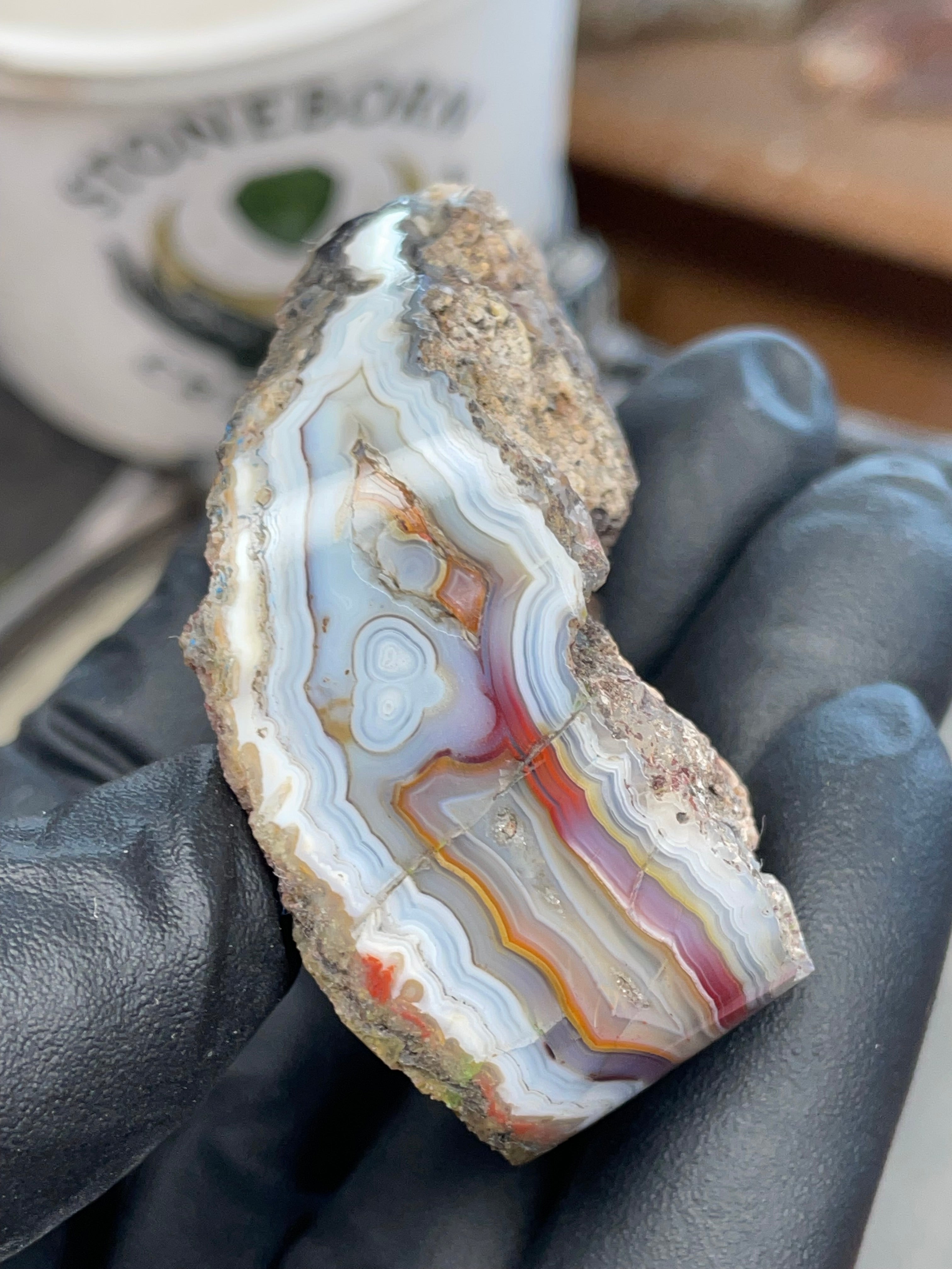 StoneBorn Creations – Hand-Collected & Hand-Polished Fortification Agate (Raw Top & Bottom)