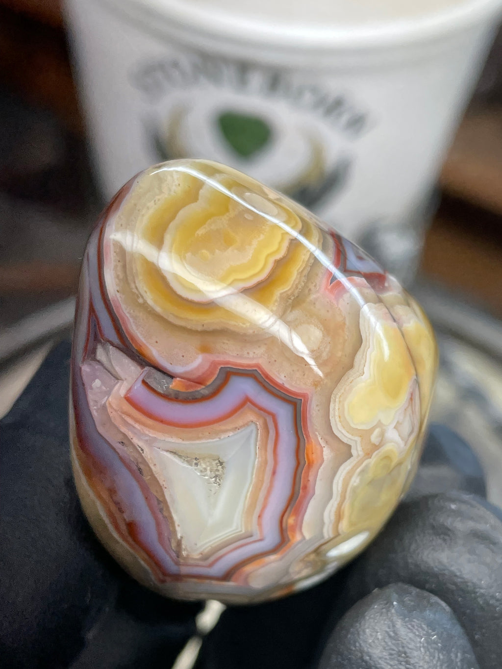 StoneBorn Banded Agate with Natural Druzy Pocket