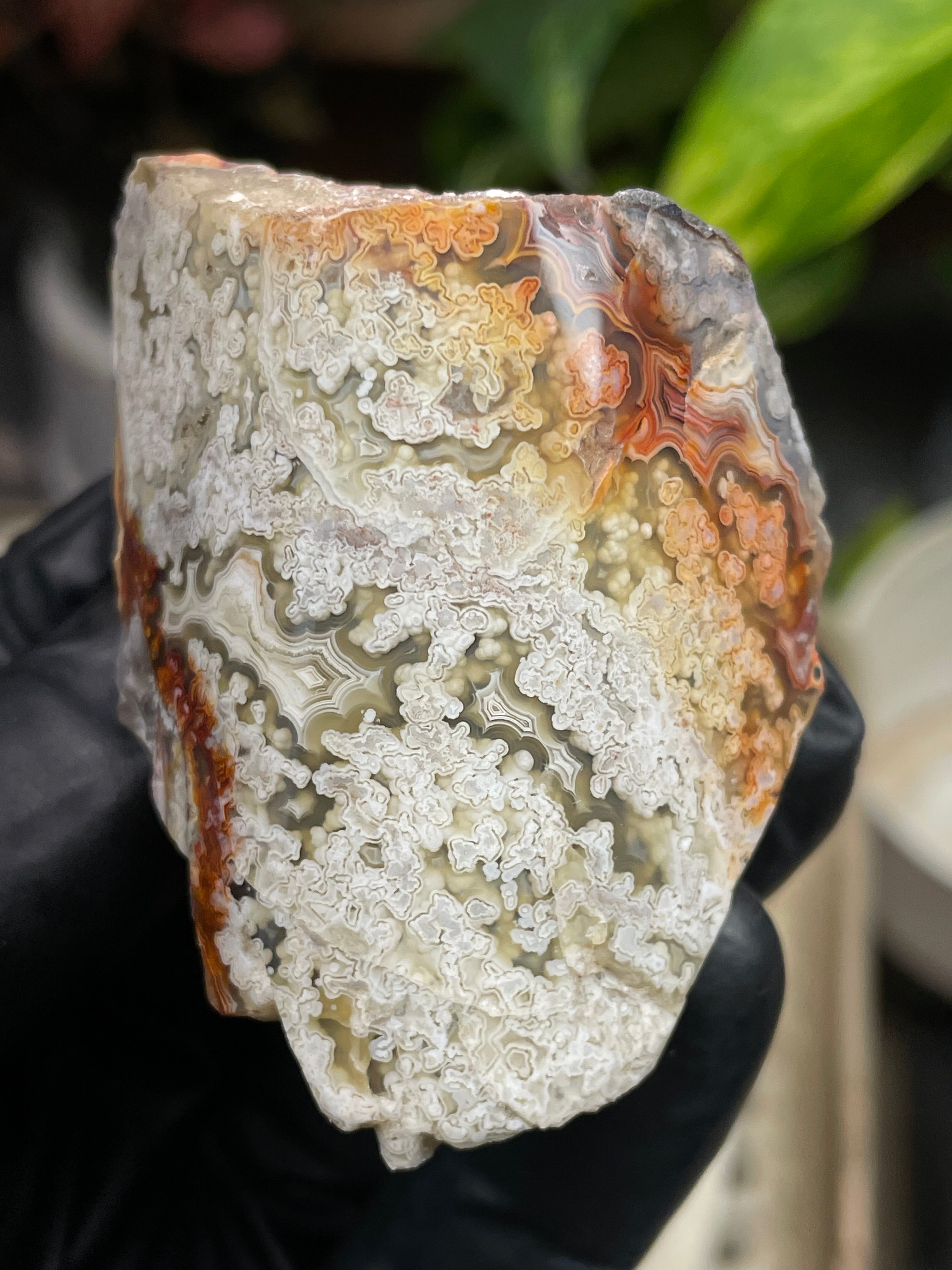 StoneBorn Creations Hand-Polished Lace Agate with Intricate White Plume Banding, Earth Tones & Natural Freeform Finish