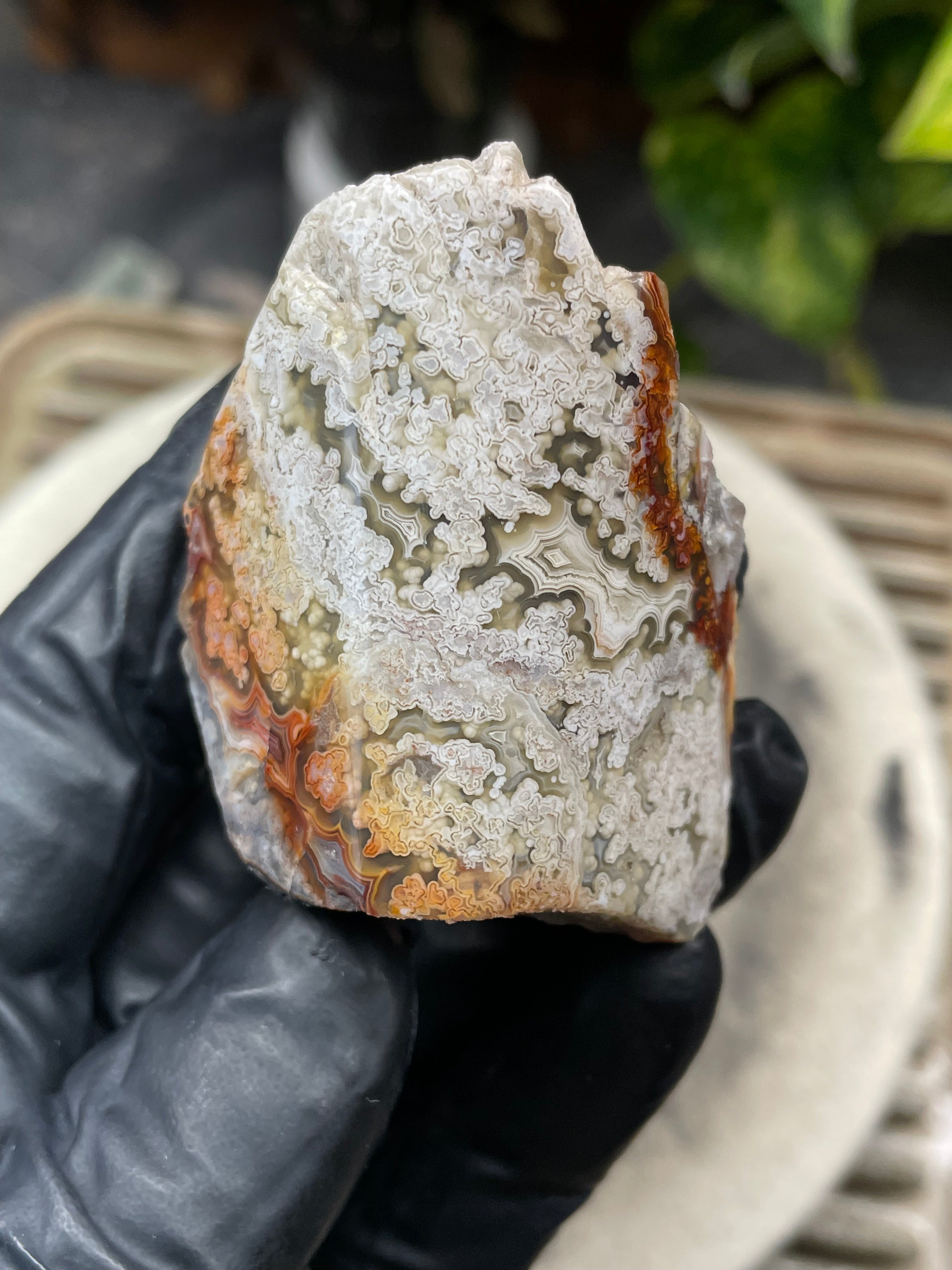 StoneBorn Creations Hand-Polished Lace Agate with Intricate White Plume Banding, Earth Tones & Natural Freeform Finish