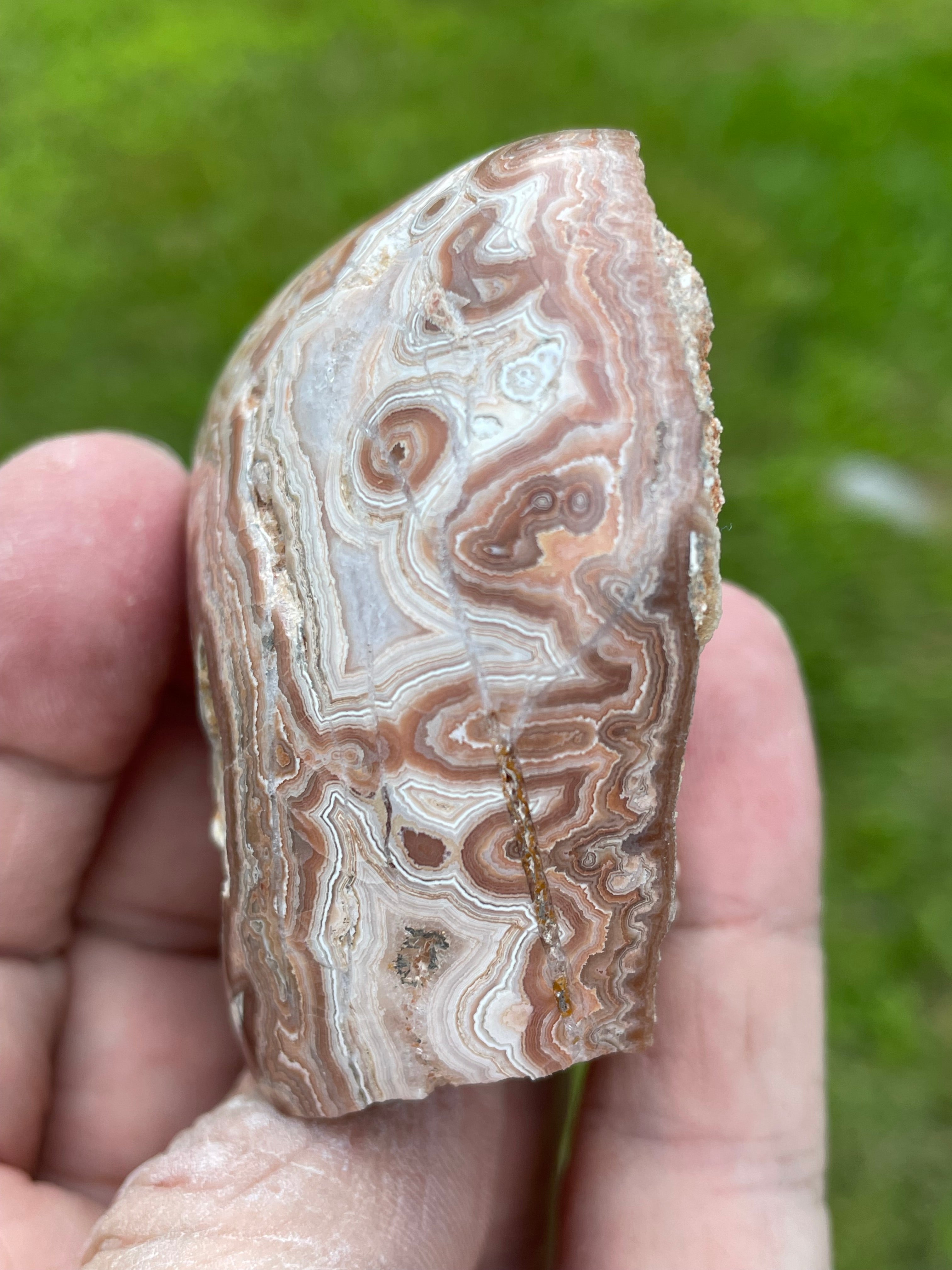 StoneBorn Creations Hand-Polished Georgia Crazy Lace Agate Freeform Display Stone – One-of-a-Kind Natural Art
