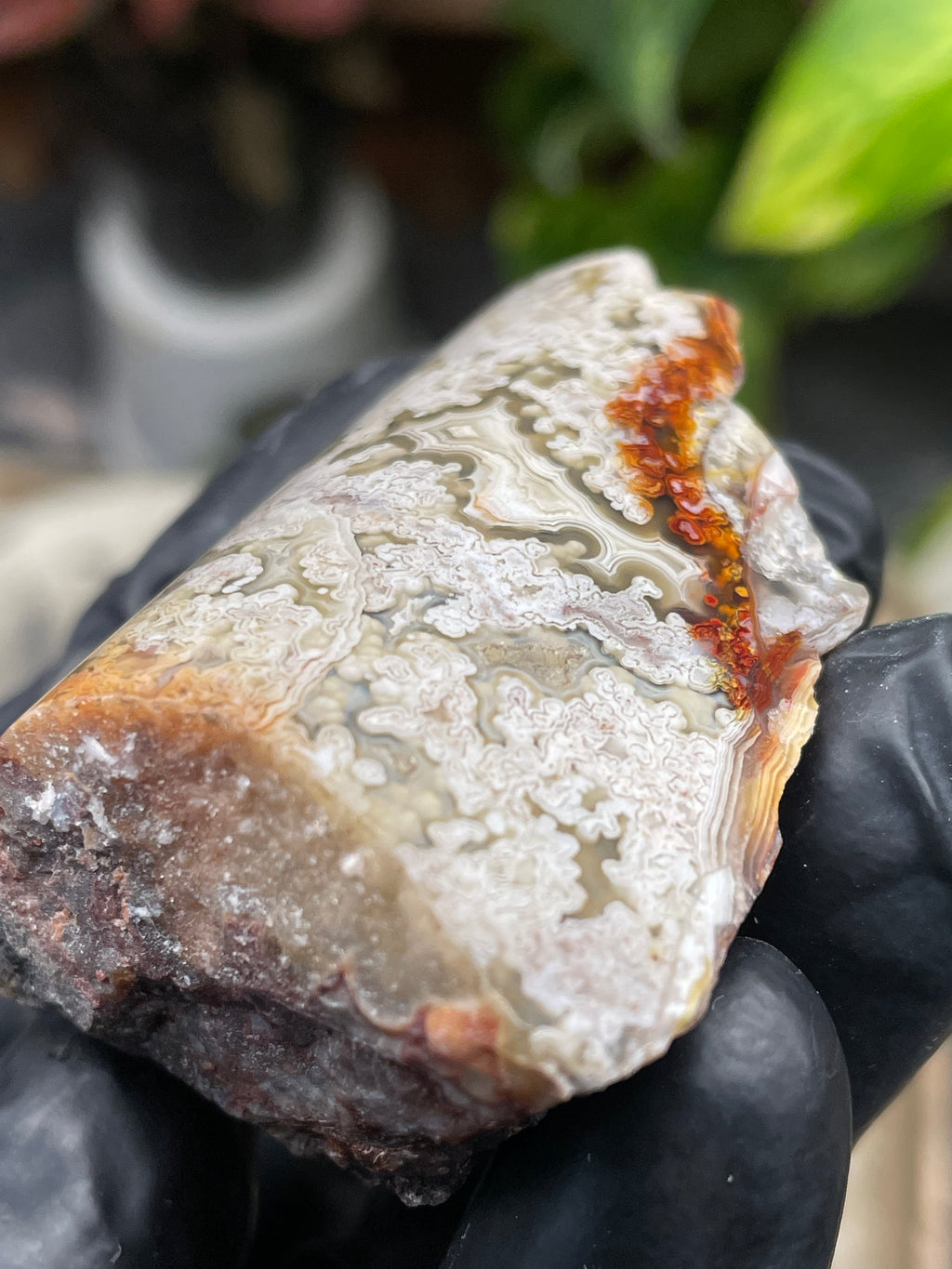 StoneBorn Creations Hand-Polished Lace Agate with Intricate White Plume Banding, Earth Tones & Natural Freeform Finish