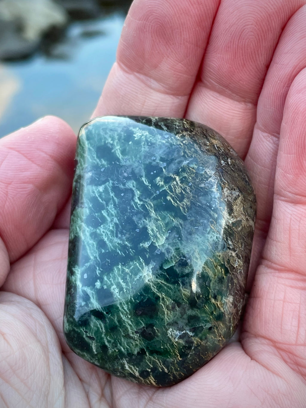 🌲 Polished Vermont Greenstone – Deep Forest Ripple Pattern (Hand-Collected & Finished)