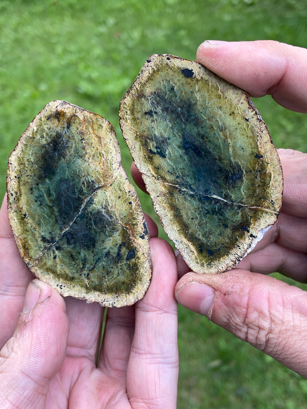 StoneBorn Creations Serpentine Matching Pair – Hand Polished Natural Stone