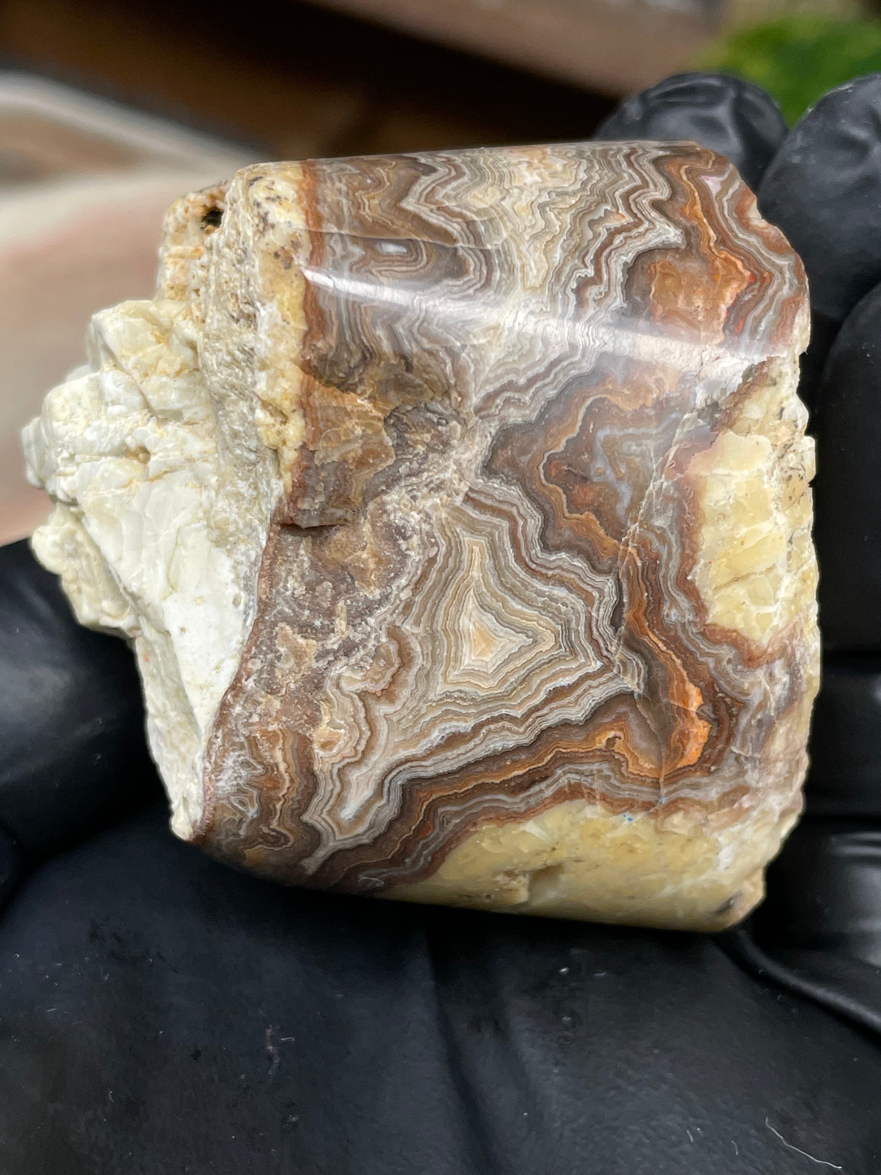 StoneBorn Creations Hand-Polished Banded Lace Agate with Natural Raw Top and Base – Intricate Earth-Toned Banding Freeform Finish