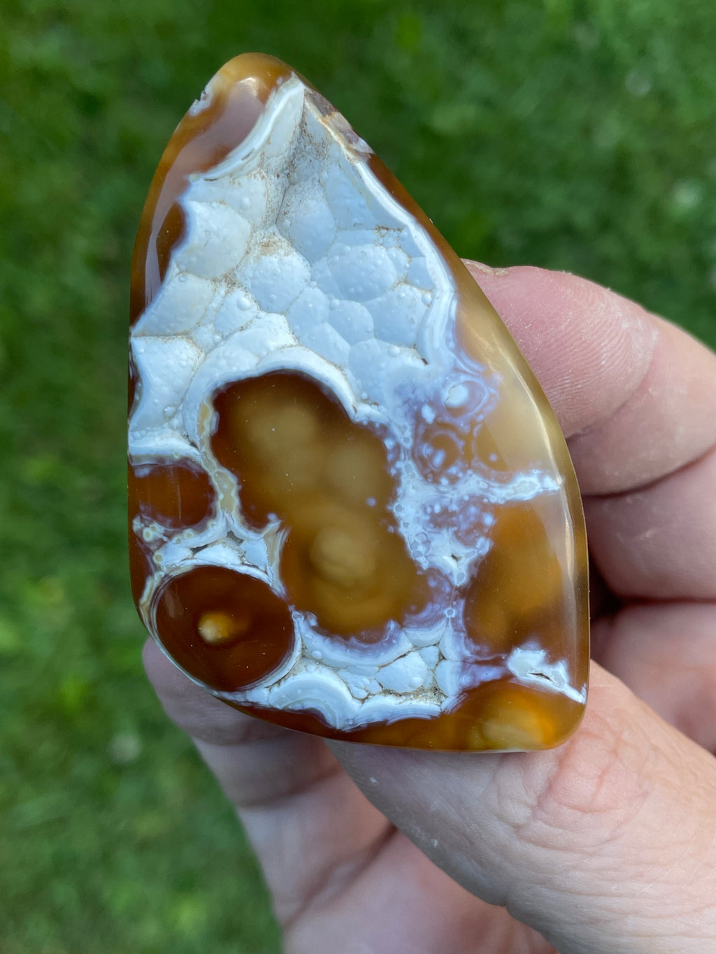 StoneBorn Creations Hand-Polished Agatized Coral Freeform with Amber Chalcedony, Orbicular Eyes & UV Fluorescence