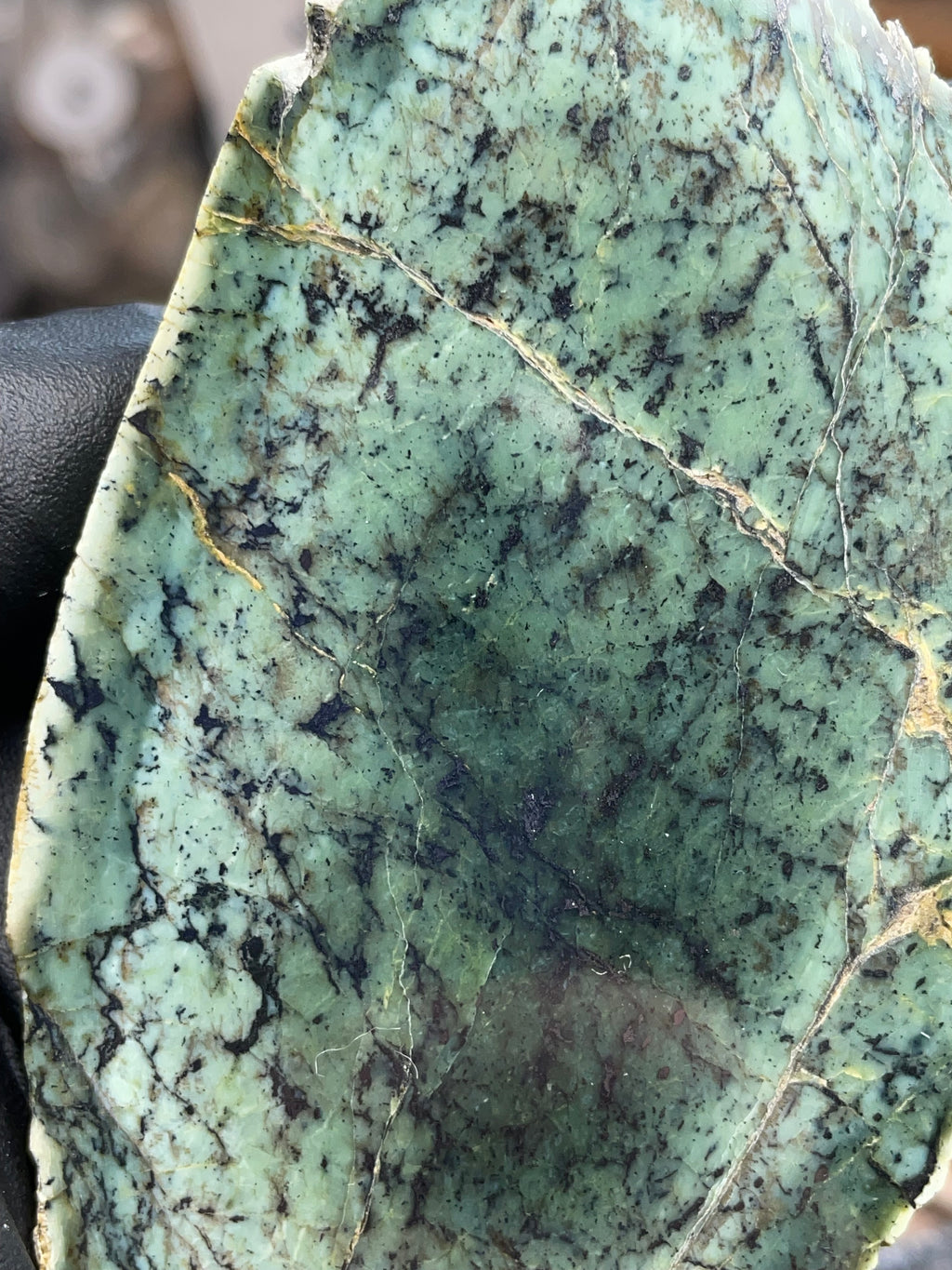 Hand-Collected Mint Green Serpentine Slab | Raw & Refined StoneBorn Specimen