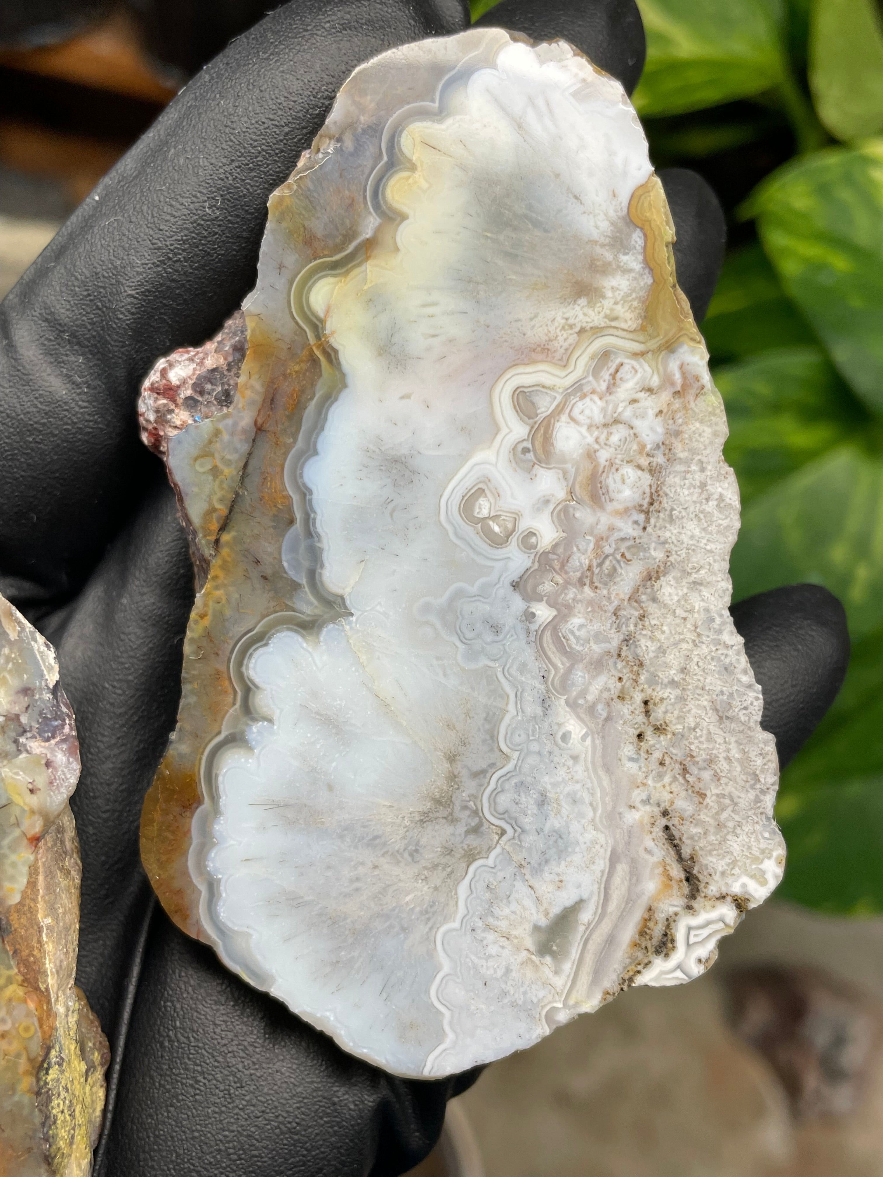 StoneBorn Creations Hand-Polished Agate Pair – Soft White Plume Details, Natural Banding & Raw Earthy Edges