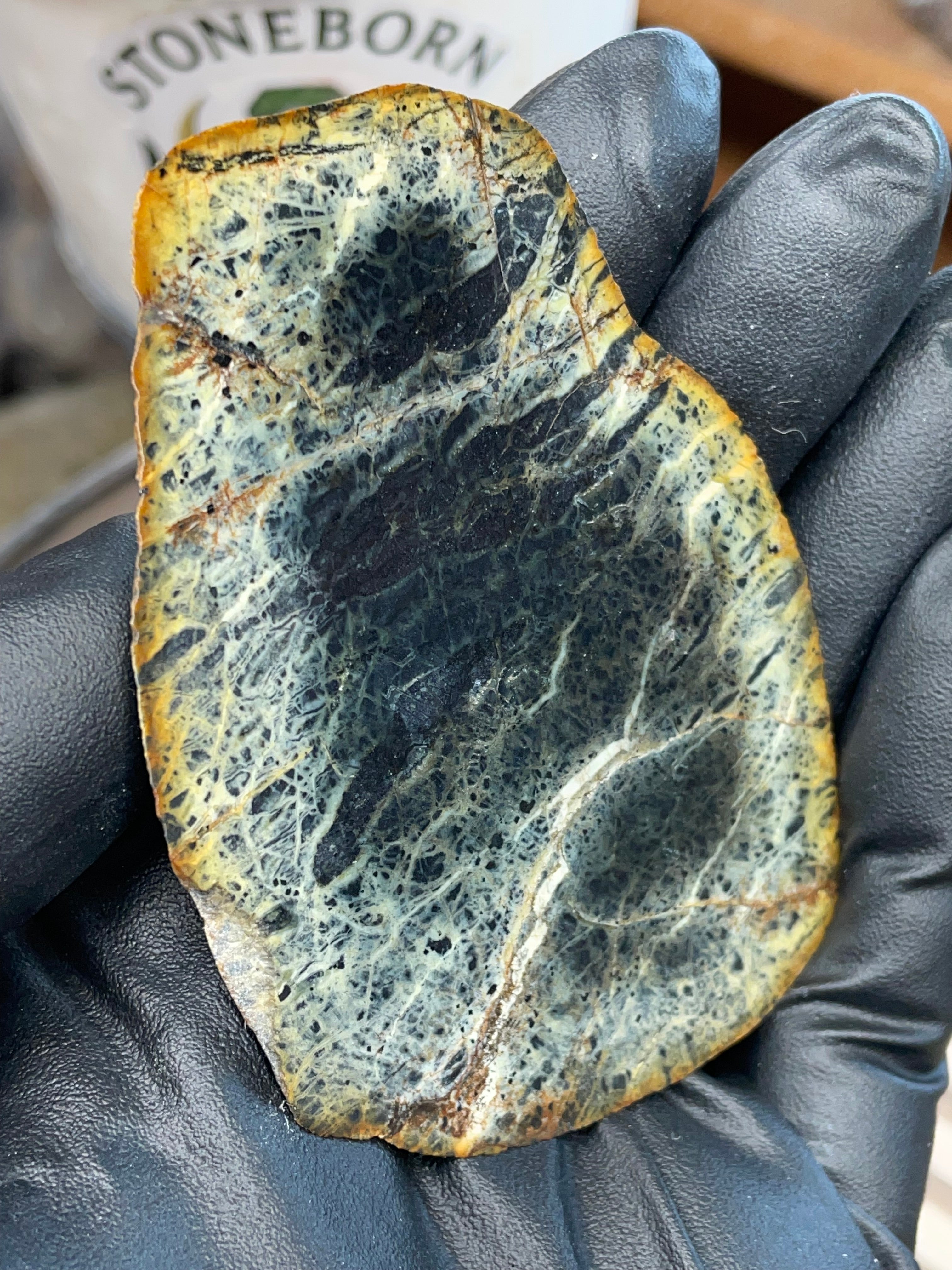 StoneBorn “Midnight Web” Greenstone Slab (One-Side Polished)