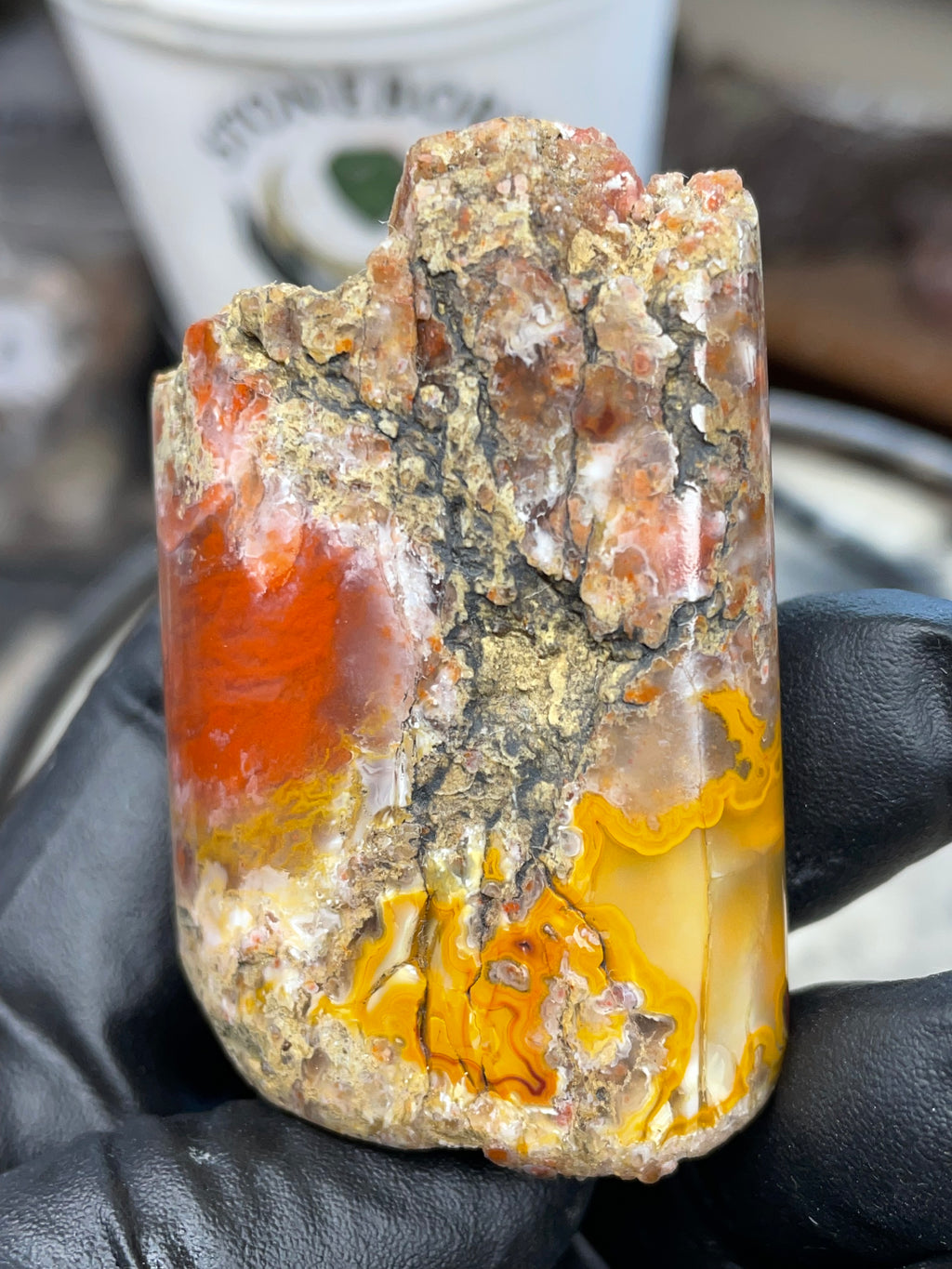Hand-Polished Banded Agate — Raw & Refined StoneBorn Piece