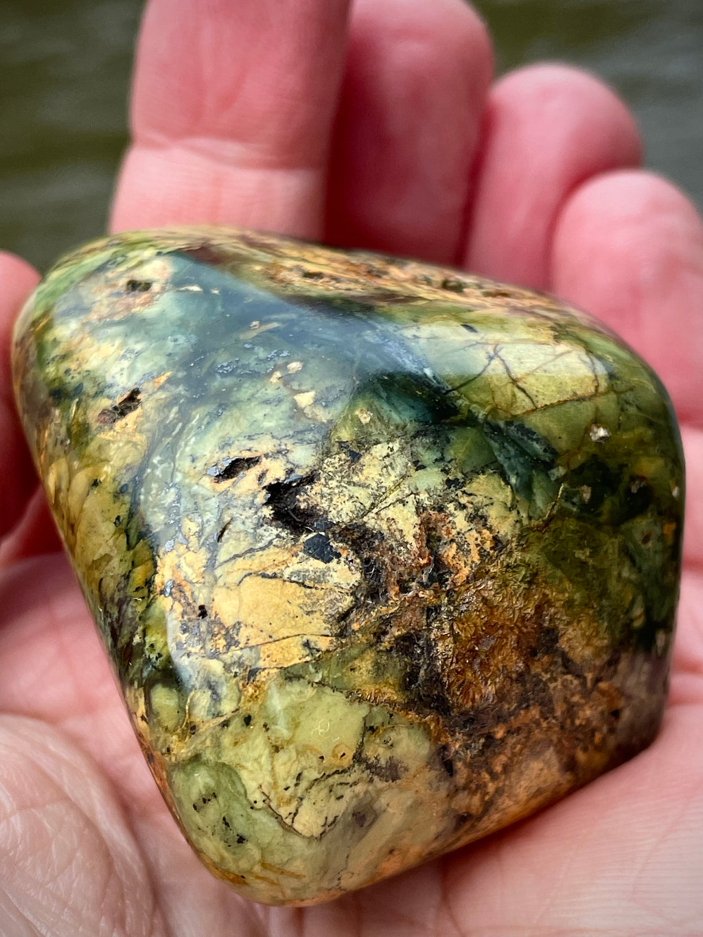 🌲 Polished Vermont Greenstone – Earth-Gold Forest Pattern (Hand-Collected & Polished)
