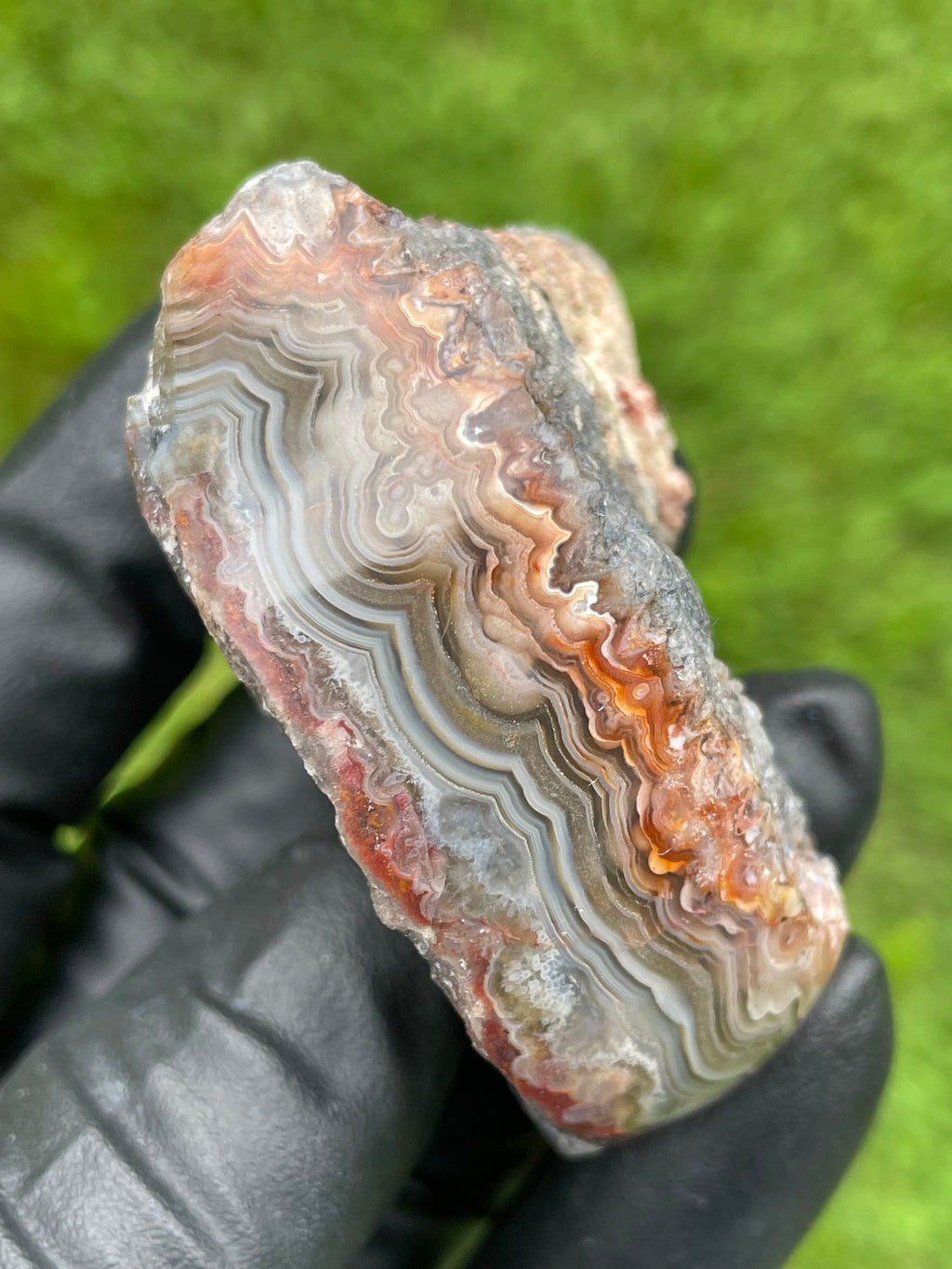 StoneBorn Creations Hand-Polished crazy Lace Agate Freeform