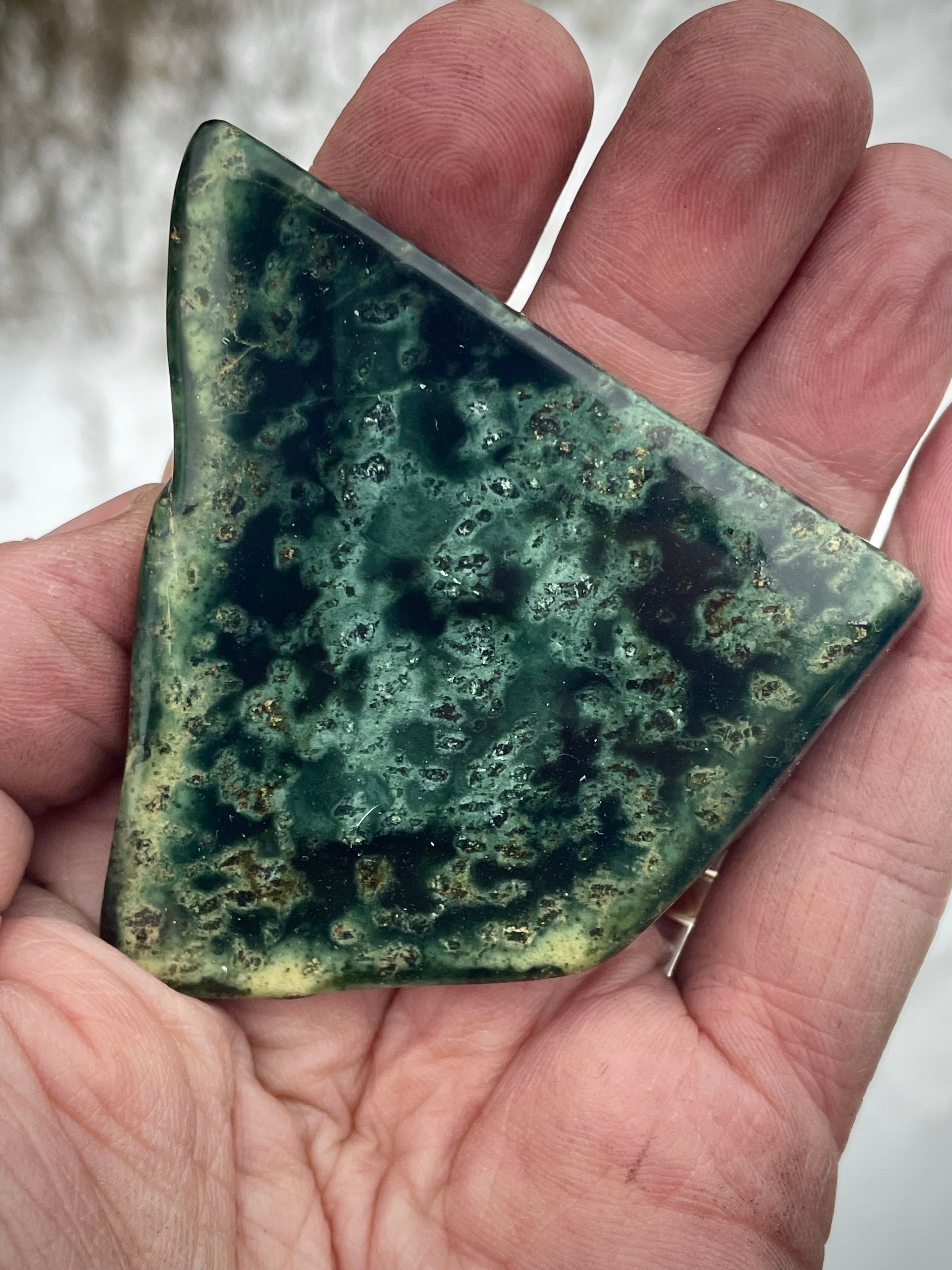🌲 Polished Vermont Greenstone – Deep Forest Depths (Hand-Collected & Polished)