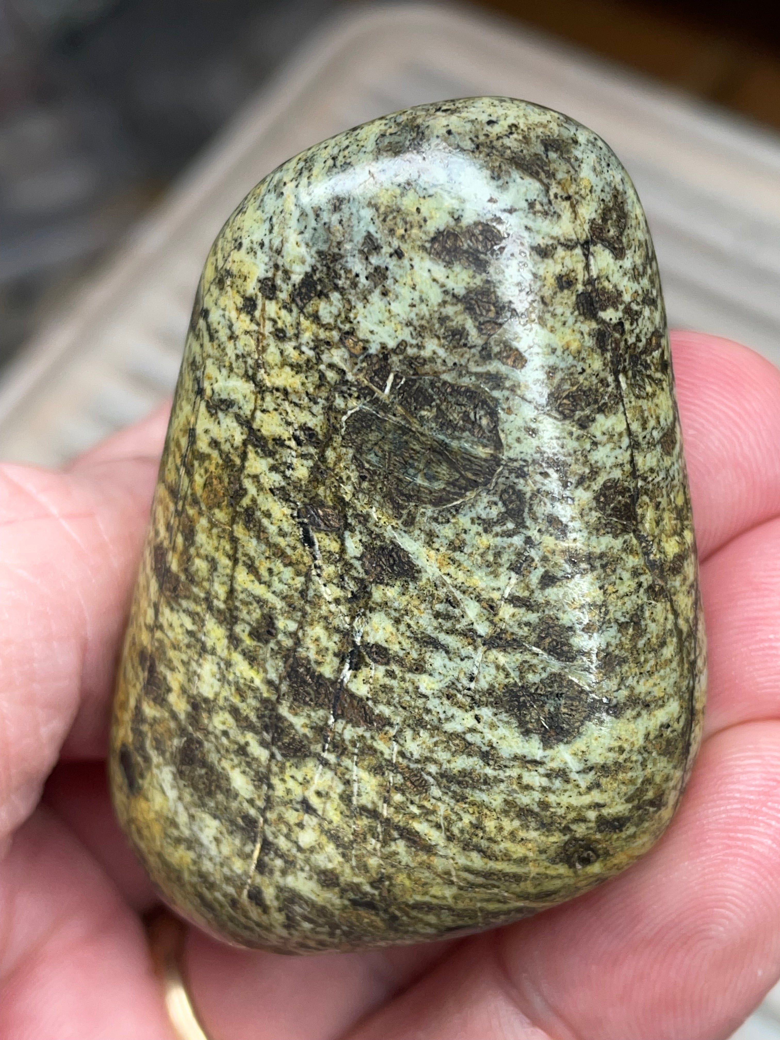 StoneBorn Creations • Hand-Polished Vermont Greenstone (Serpentine) • Moss & Shadow Speckle • Palm Stone