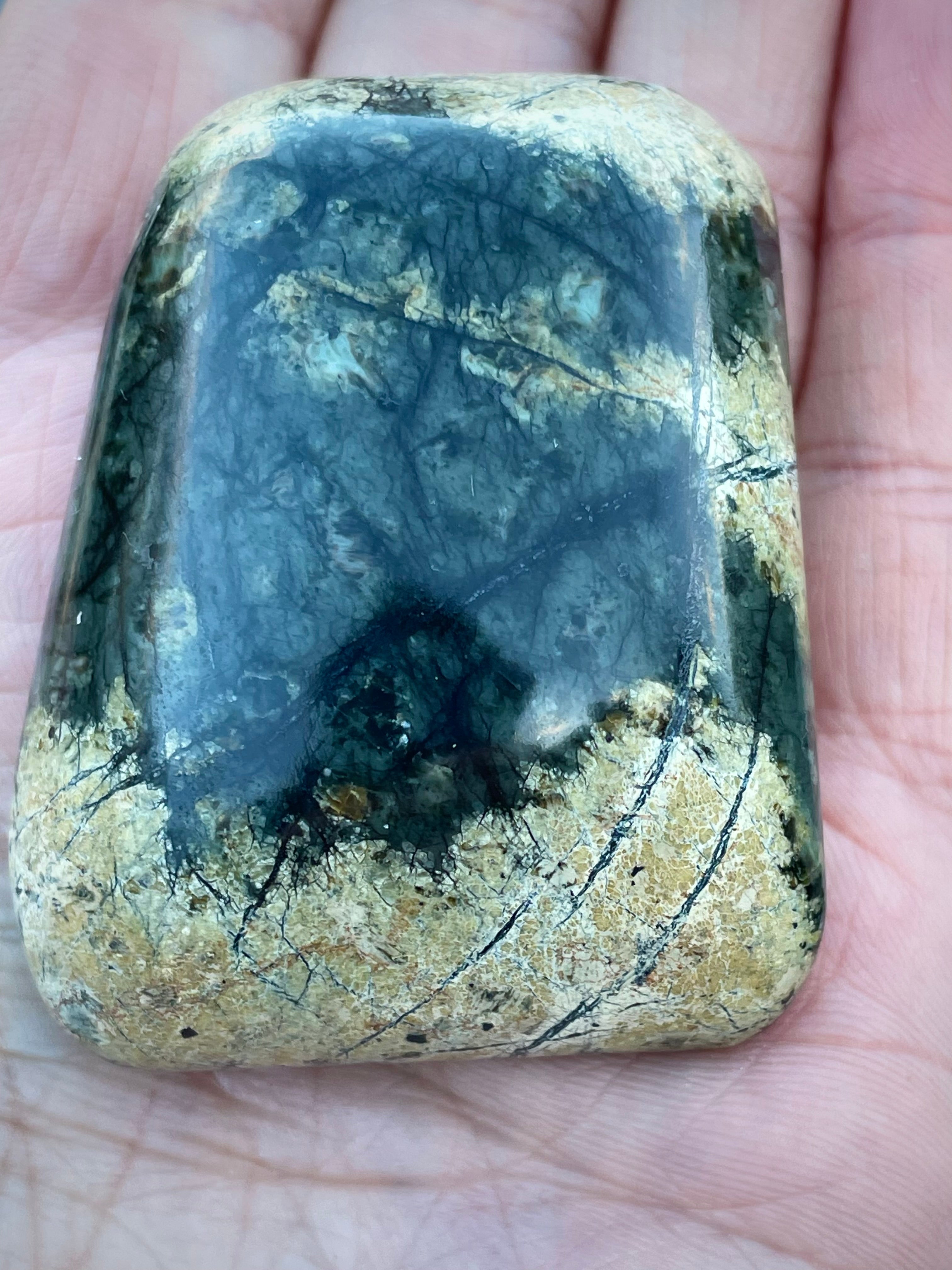 🌲 Polished Vermont Greenstone — Deep Forest Gold Vein (Hand-Collected & Finished)