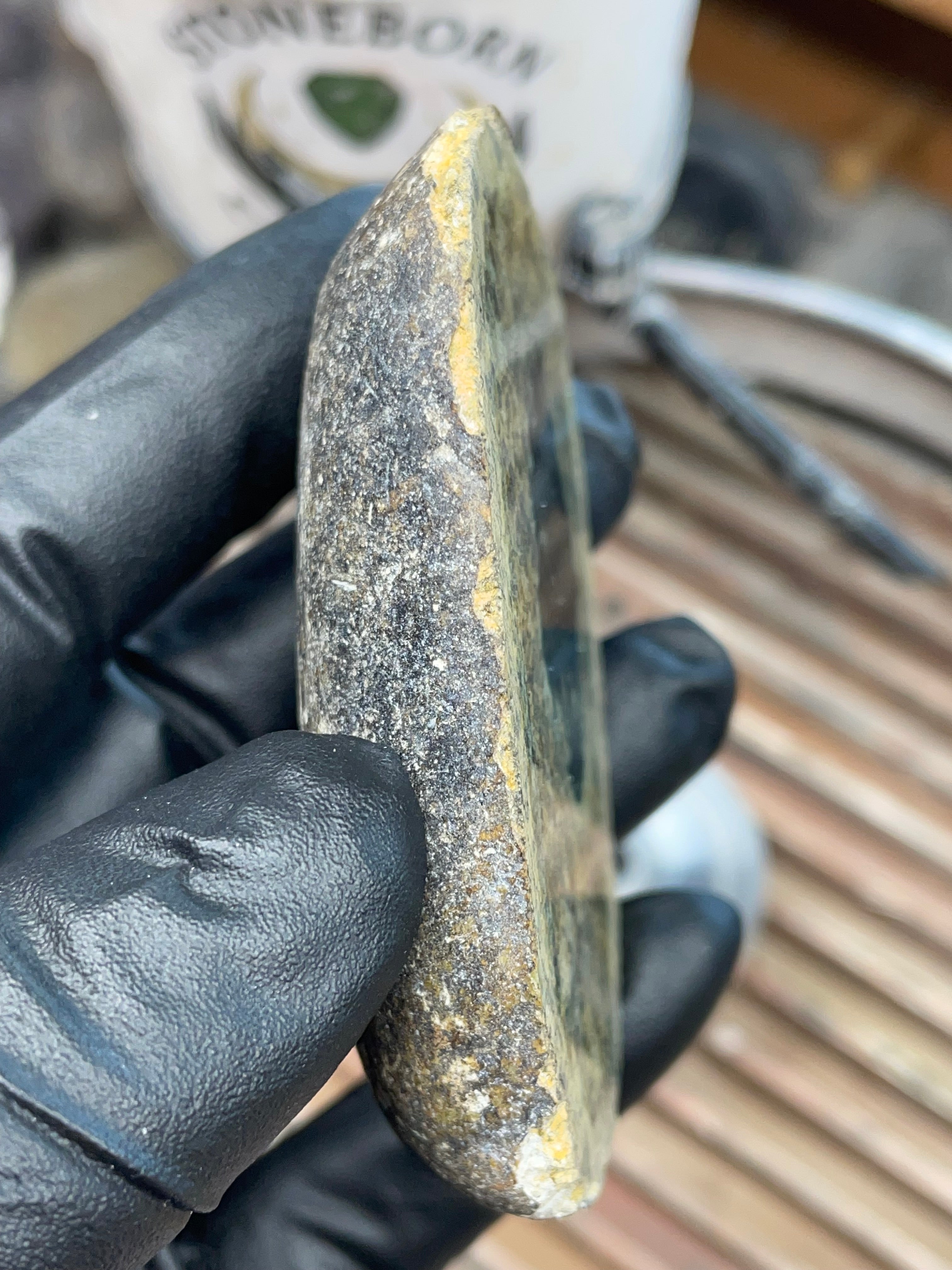 Hand-Collected Serpentine with Natural Jade Core | Raw & Polished StoneBorn Specimen