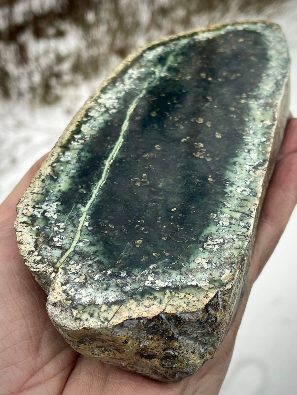 🌲 Polished Vermont Greenstone Slab – Double-Sided Display Piece (Hand-Collected)
