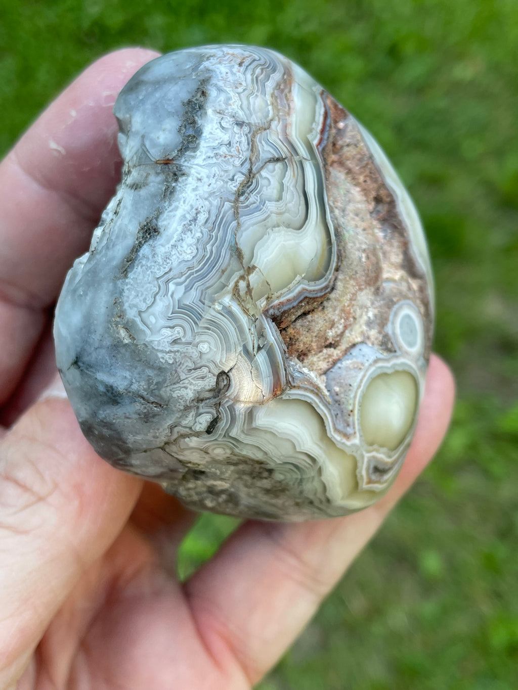 StoneBorn Creations Hand-Polished Lace Agate Freeform with Intricate Fortification Banding, Orbicular Eyes, Natural Matrix & Curved Display Face