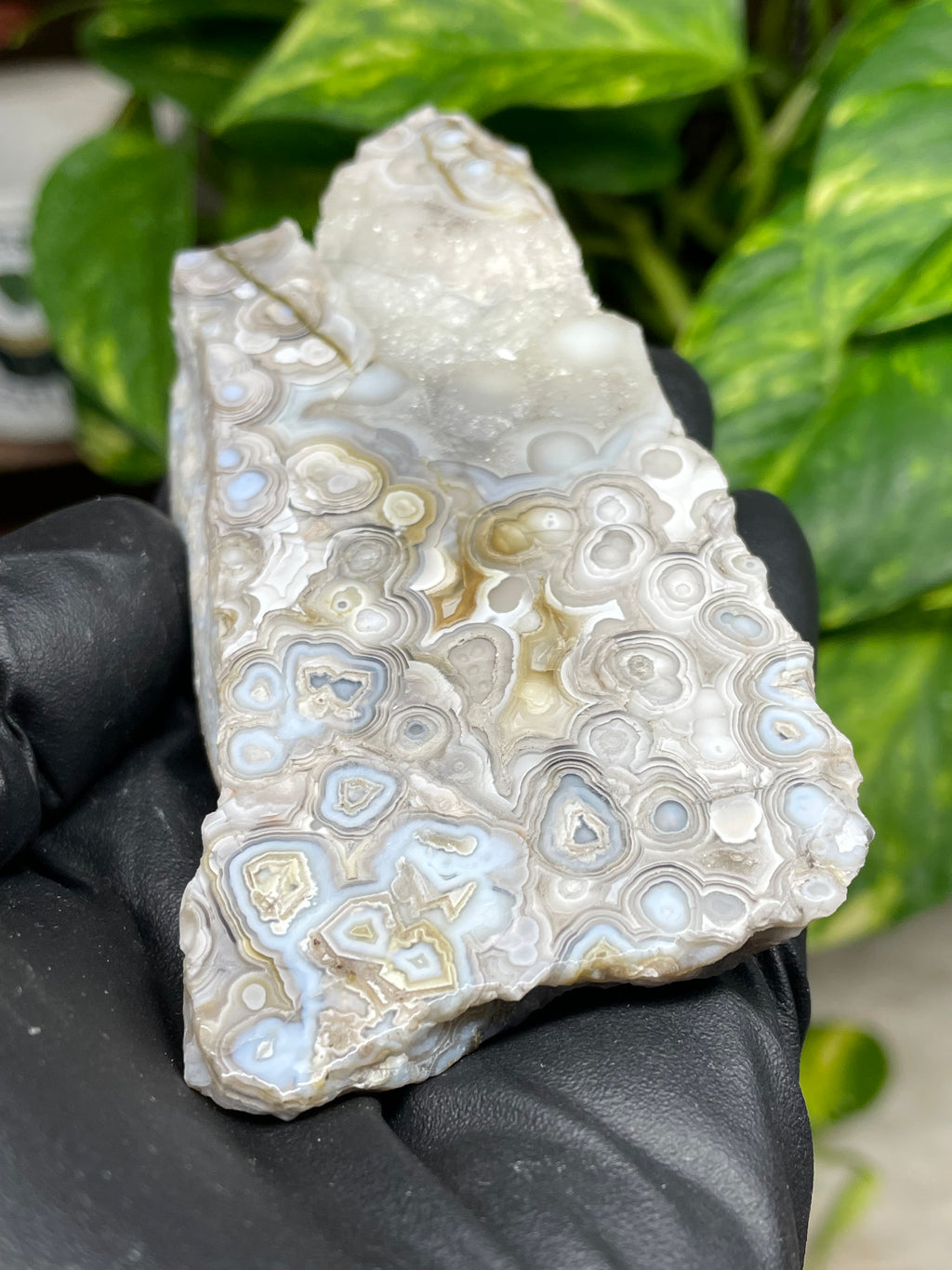 StoneBorn Creations Hand-Polished Lace Agate Pair – River Cut Matching Display Halves with Druzy Crystal Pockets & Intricate Natural Banding
