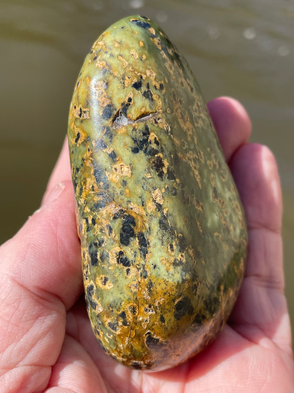 StoneBorn Creations Hand-Polished Vermont Serpentine with Black Inclusions, Golden Earth Matrix, and Natural Freeform Finish