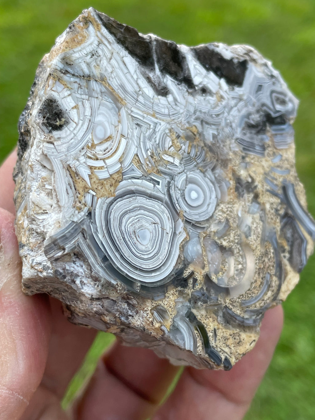 StoneBorn Creations Hand-Polished Tuxedo Lace Agate Bookmatched Pair | One-of-a-Kind Natural Display Stones