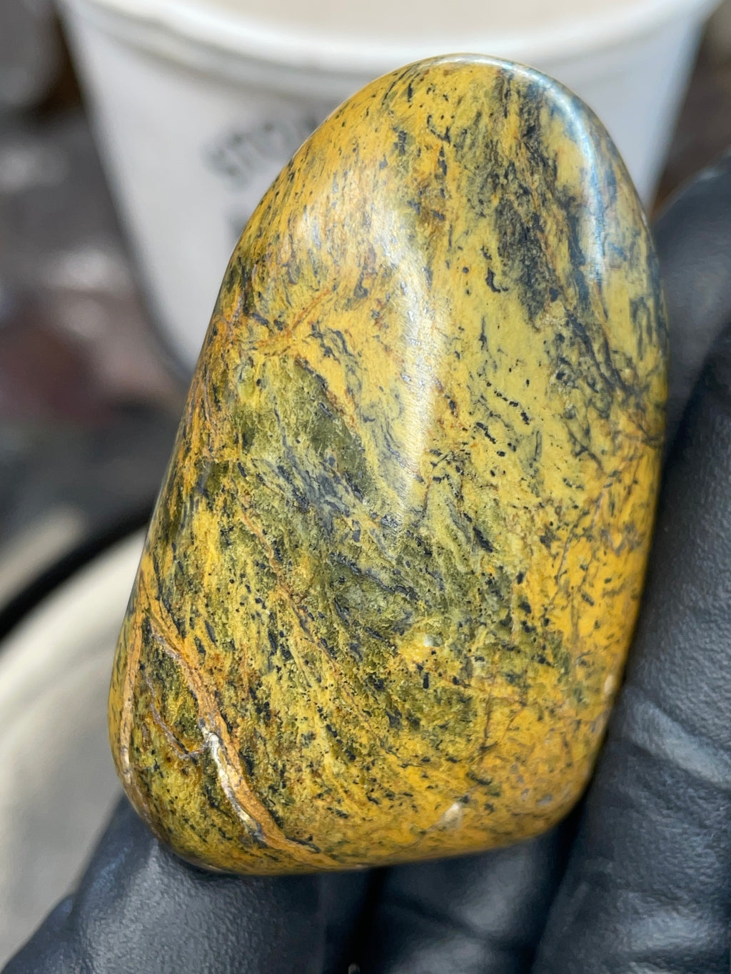 Hand-Polished Golden Serpentine | One-of-One River Stone