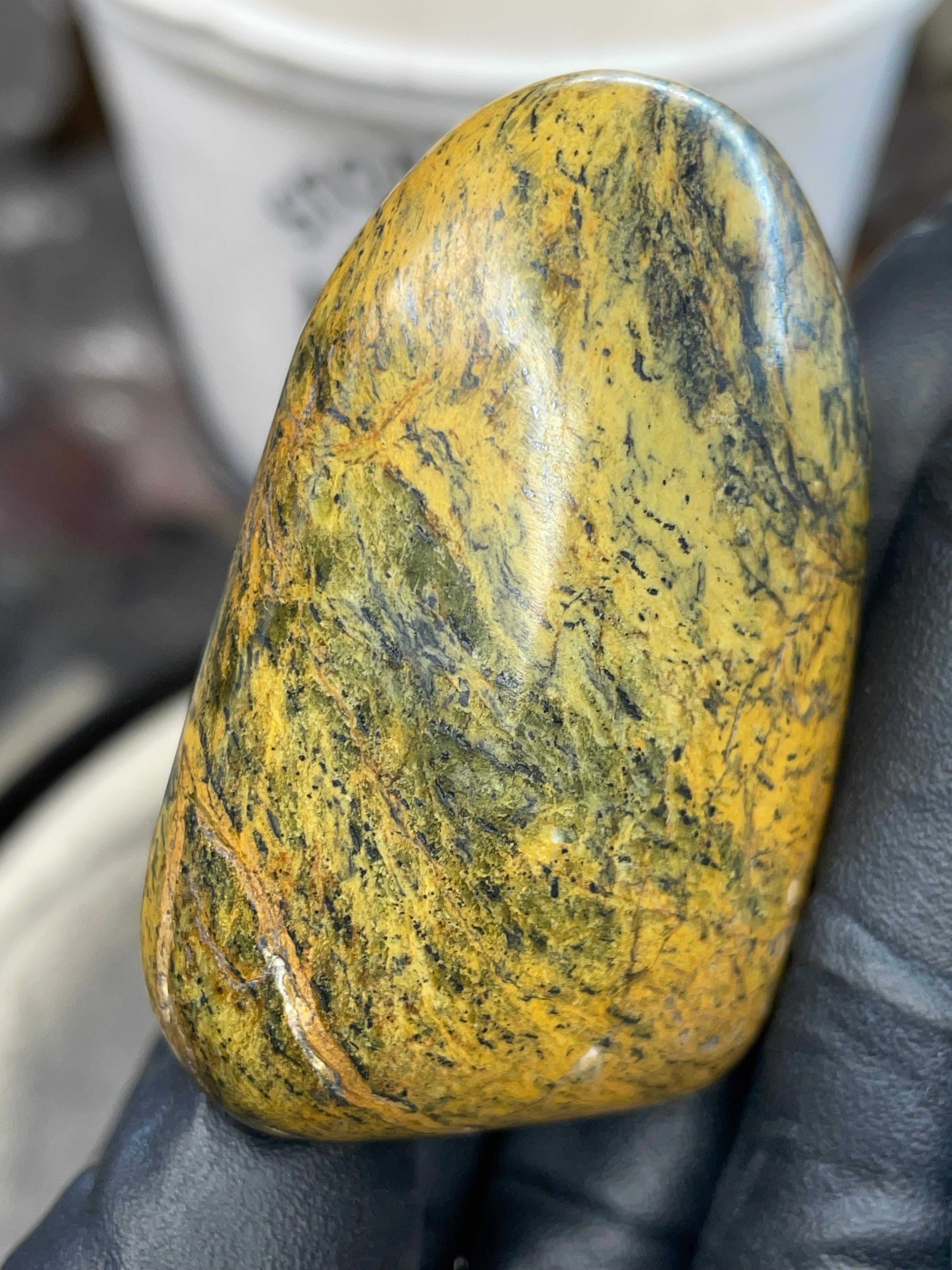 Hand-Polished Golden Serpentine | One-of-One River Stone