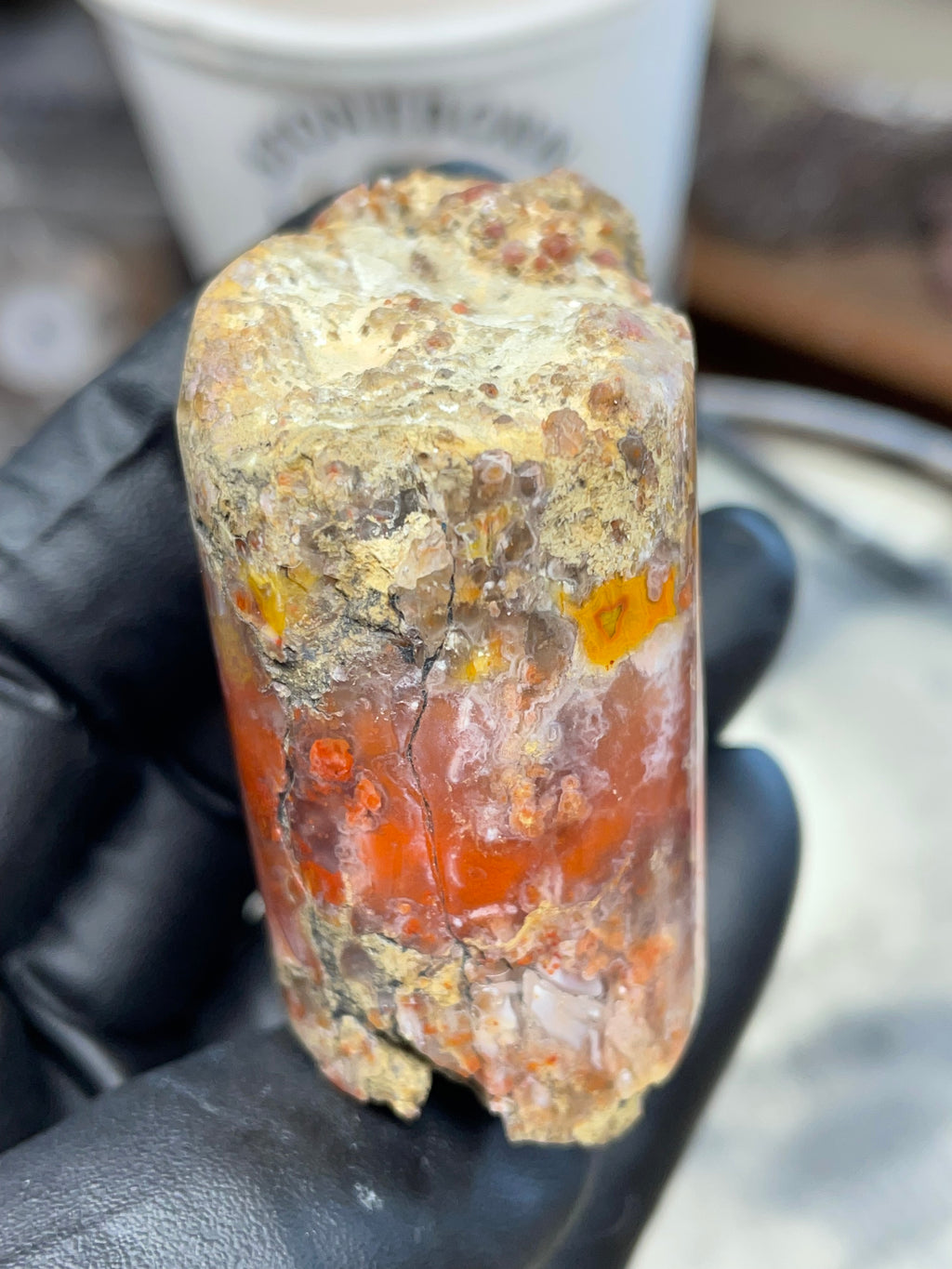 Hand-Polished Banded Agate — Raw & Refined StoneBorn Piece