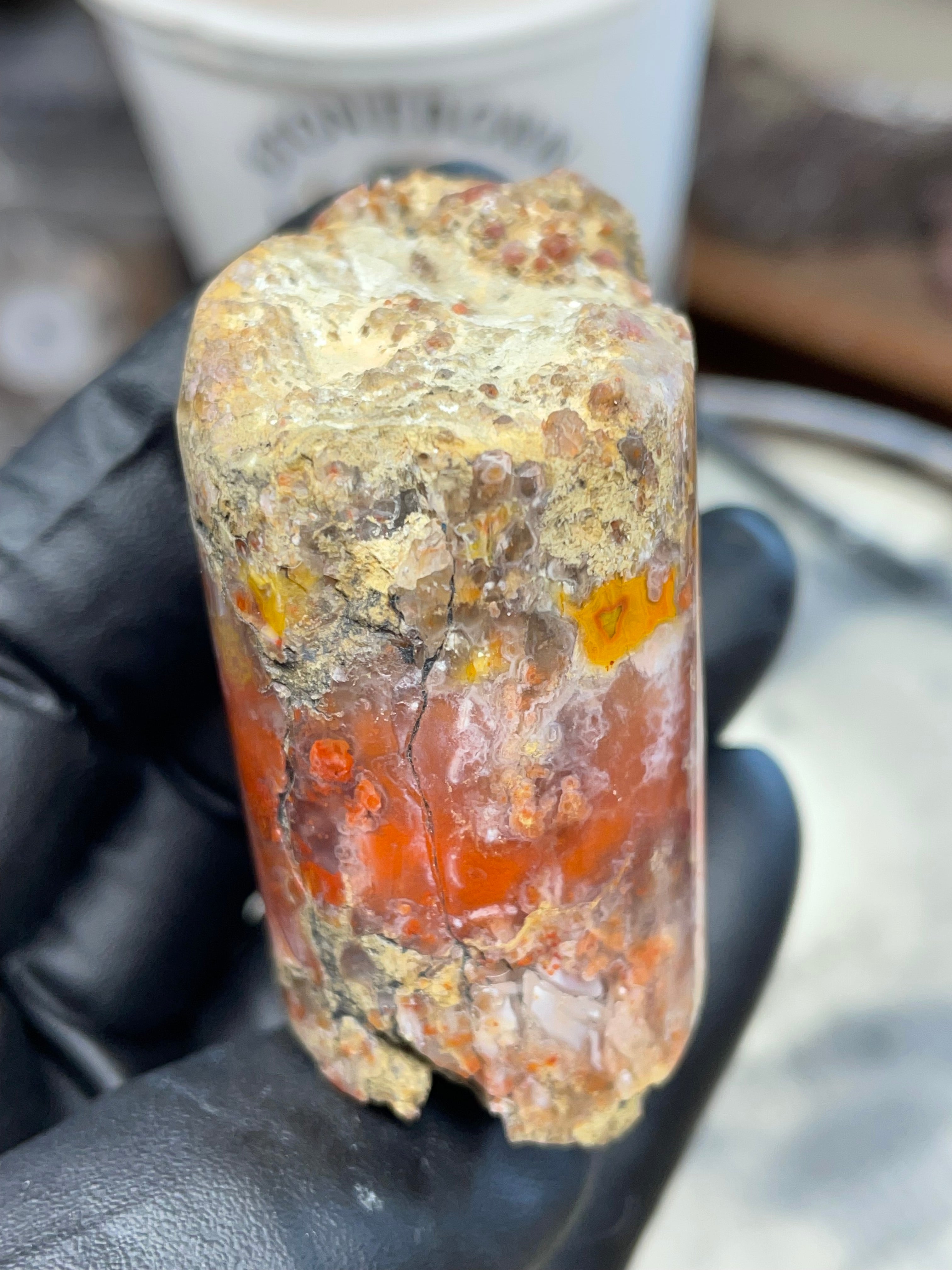 Hand-Polished Banded Agate — Raw & Refined StoneBorn Piece