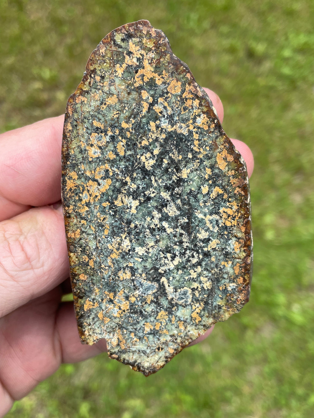 StoneBorn Creations Hand-Polished Vermont Serpentine Freeform Pair with Black Mineral Inclusions, Earth-Toned Matrix and Natural Split Display