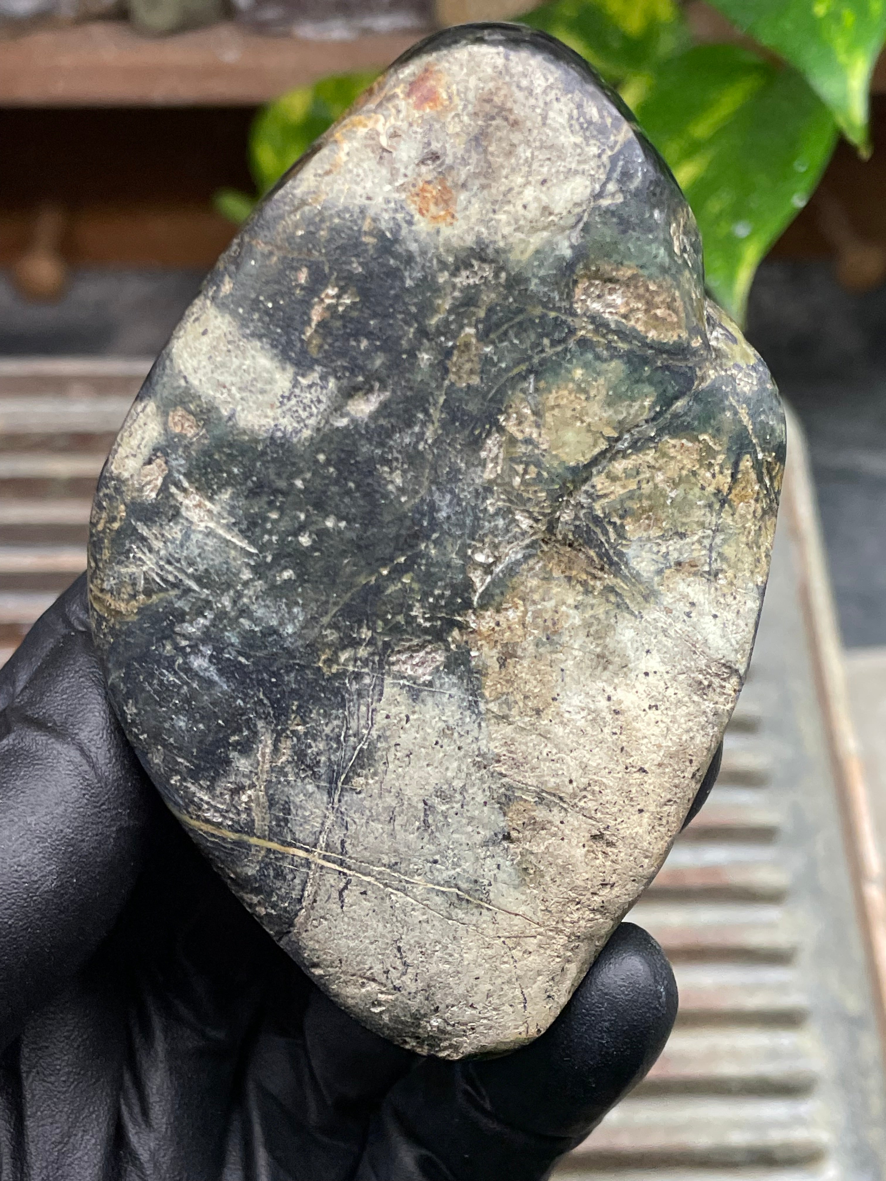 StoneBorn Creations Half-Polished Vermont Serpentine with Natural Gold Flecking – Raw & Polished One-of-a-Kind Display Stone
