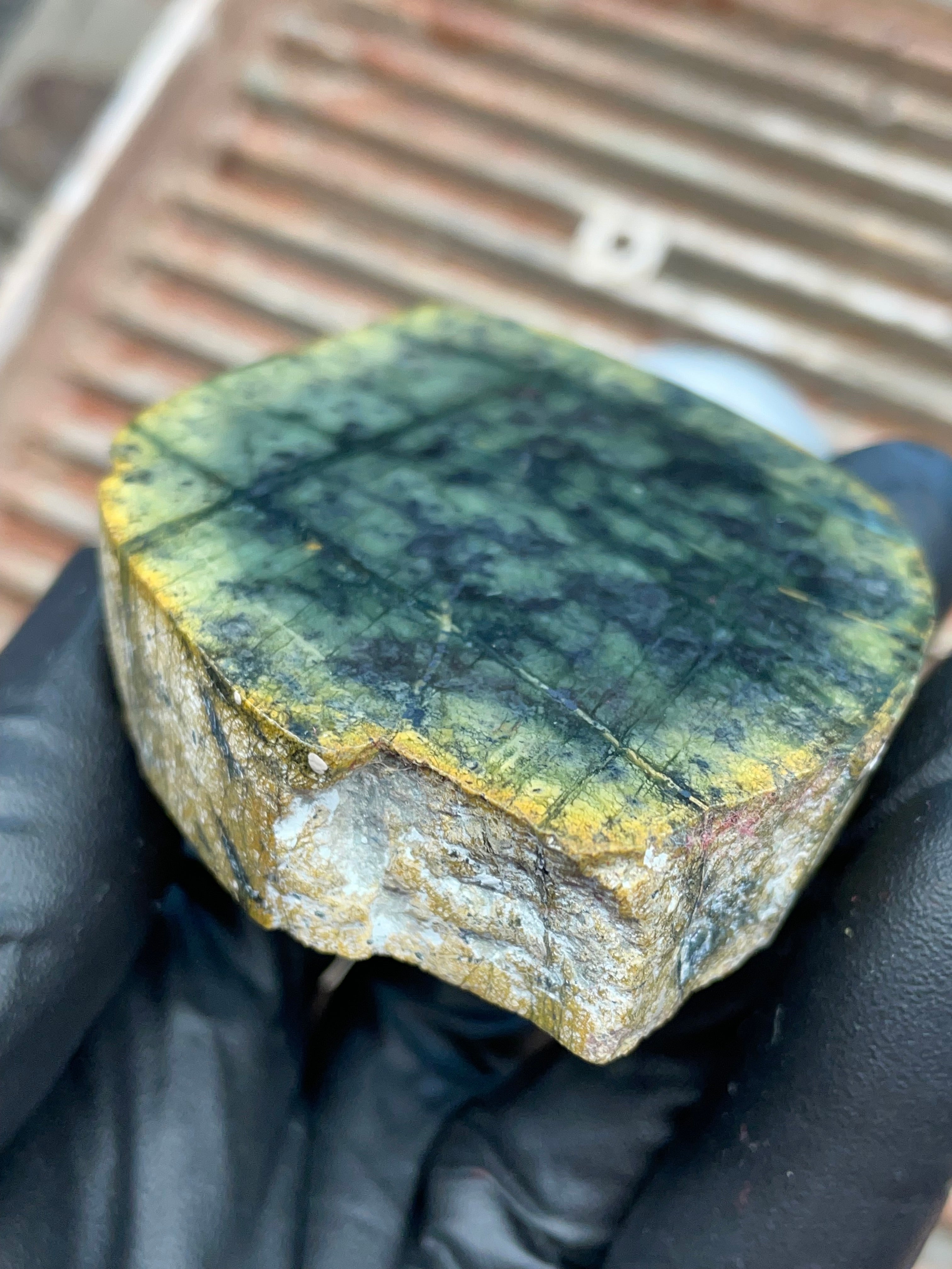 StoneBorn Creations | Polished Vermont Greenstone “Glacier Grid” Slab — Deep Forest Green + Golden Rind