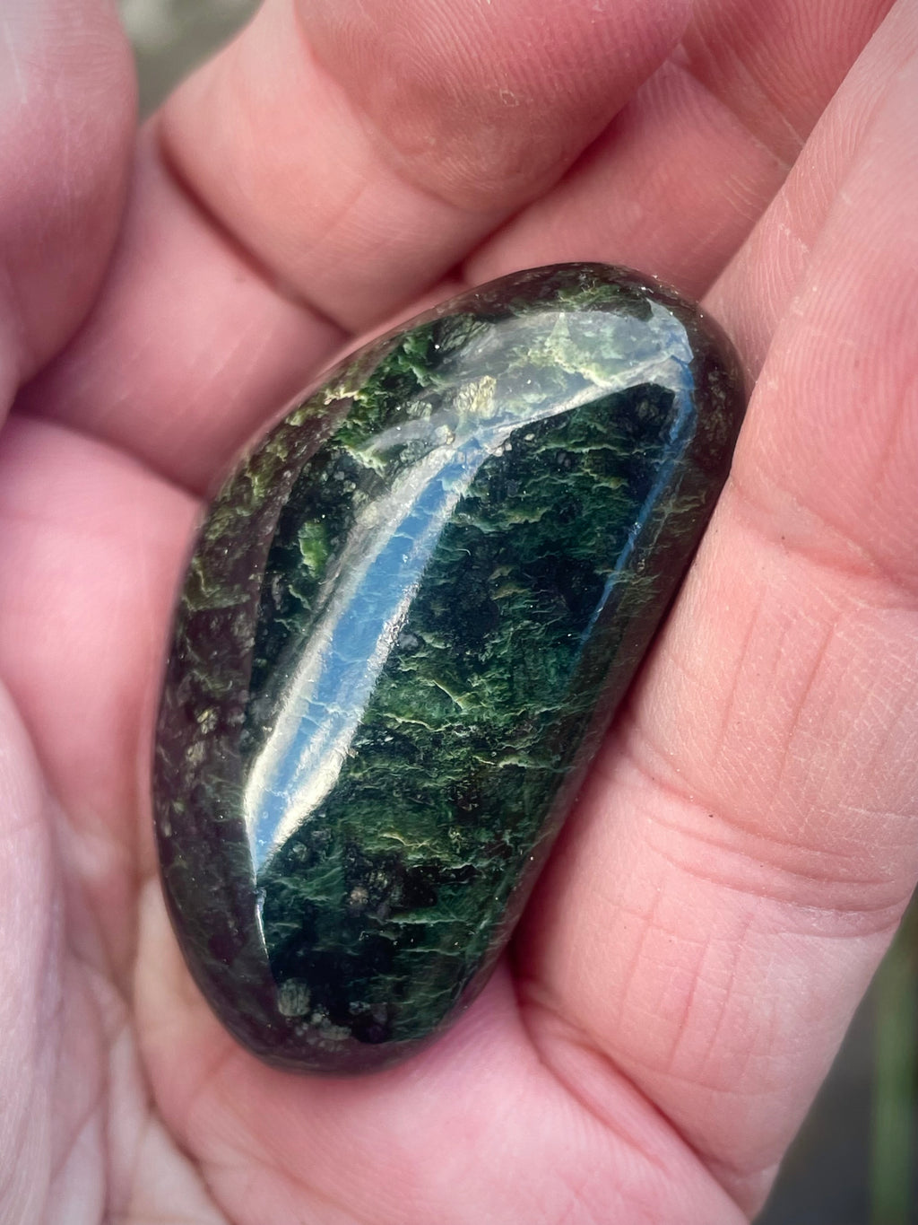 🌲 Polished Vermont Greenstone – Midnight Forest Veining (Hand-Collected & Finished)