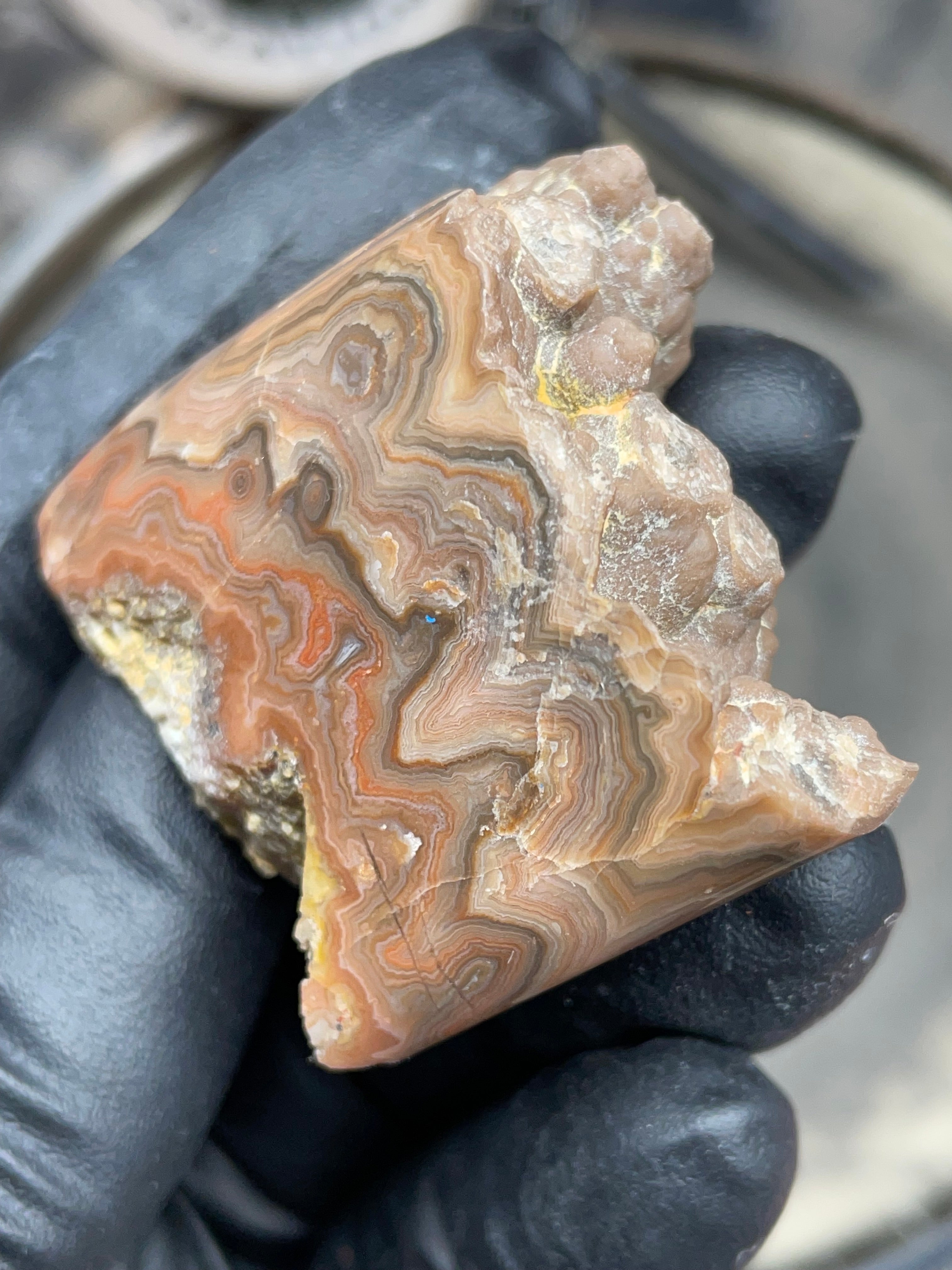 StoneBorn Creations Hand-Polished Georgia Crazy Lace Agate with Natural Quartz Vein & Raw Matrix